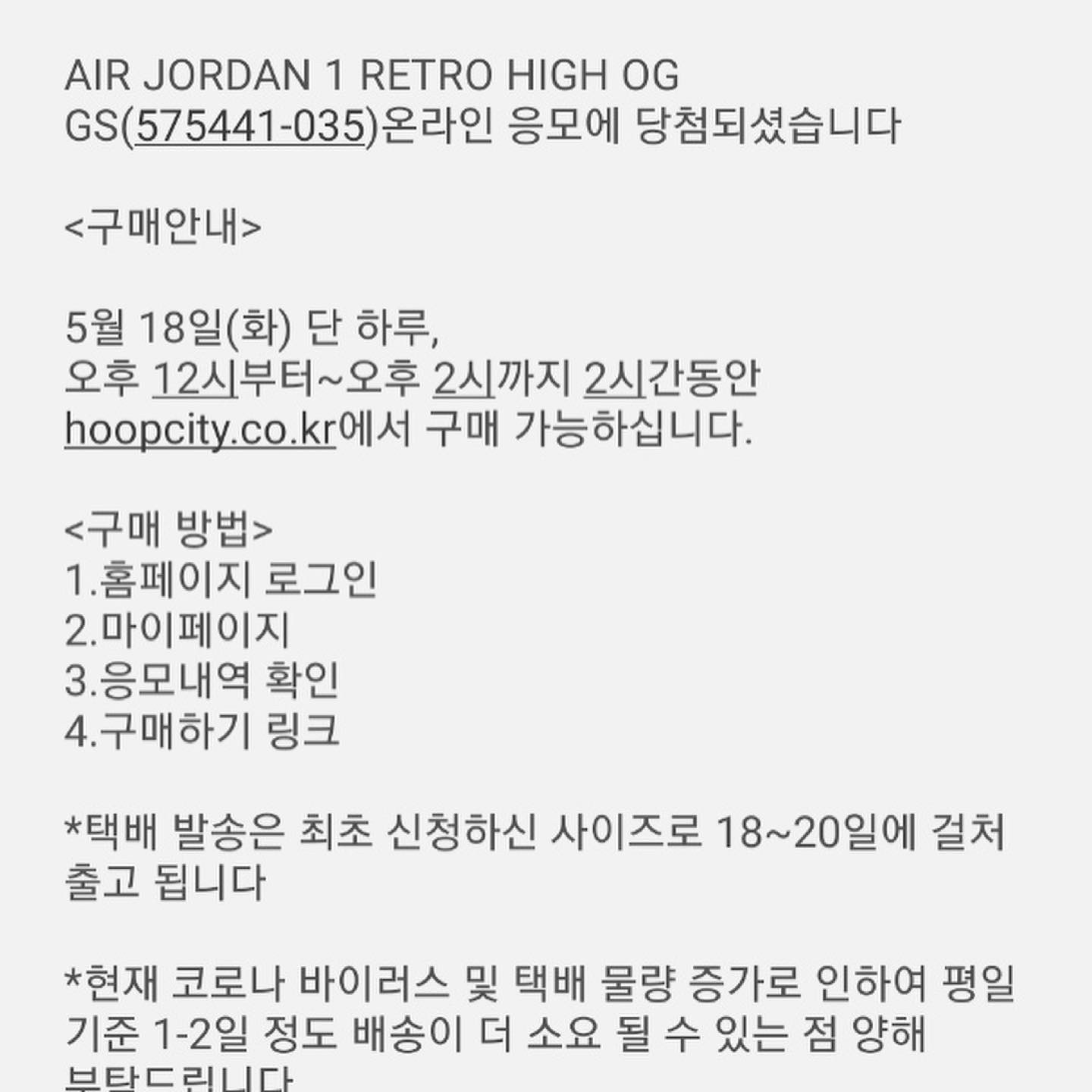 (GS) Jordan 1 Retro High OG Shadow 2.0 착용 스타일 - 2