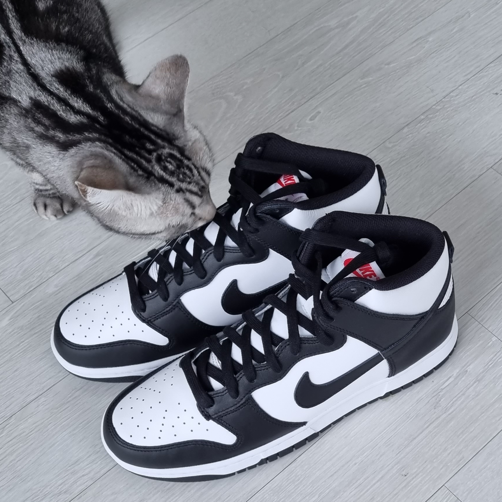 Nike Dunk High Retro Black and White 착용 스타일