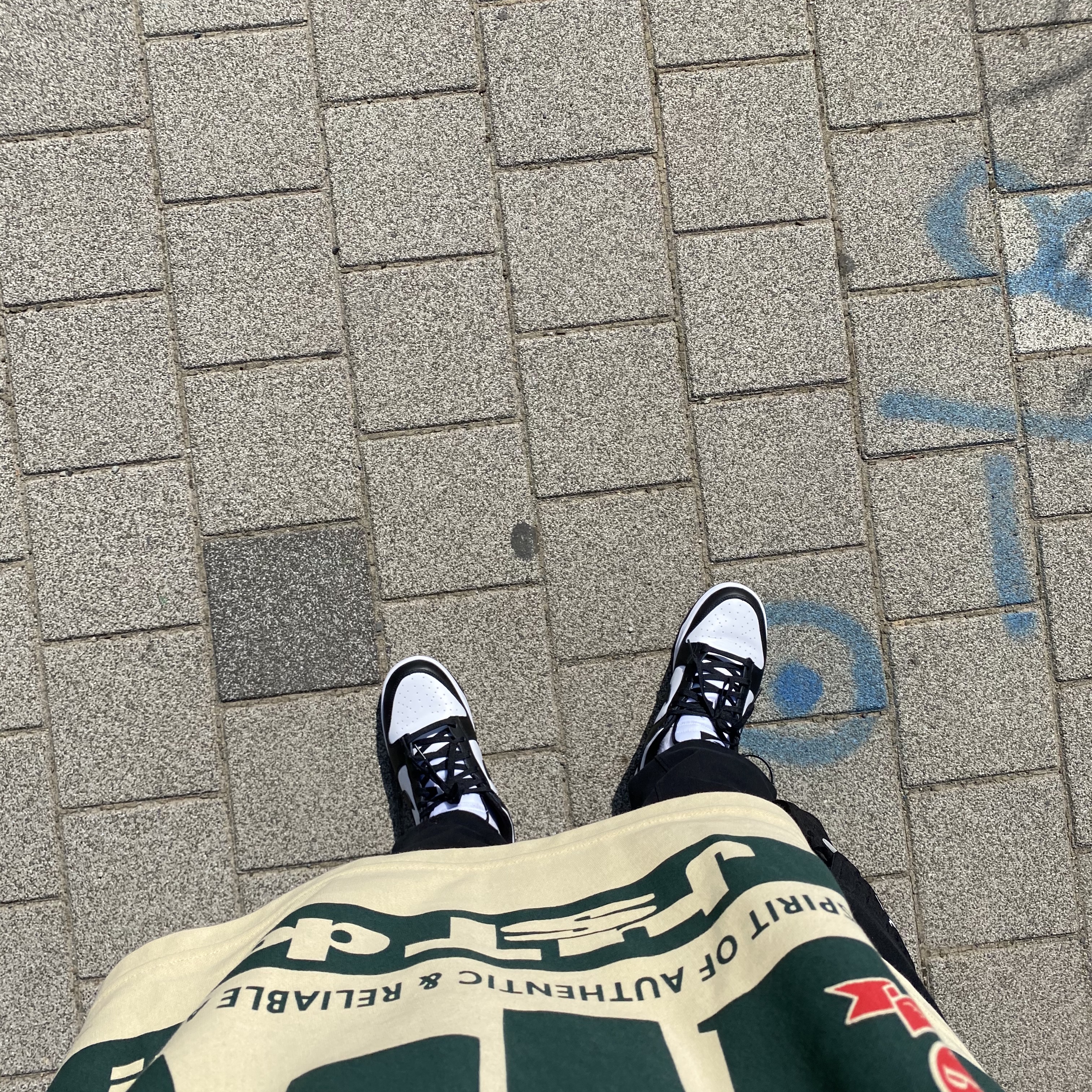 Nike x Cactus Plant Flea Market Long Sleeve Polo Natural - Asia, Nike Dunk Low Retro Black 착용 스타일 - 3