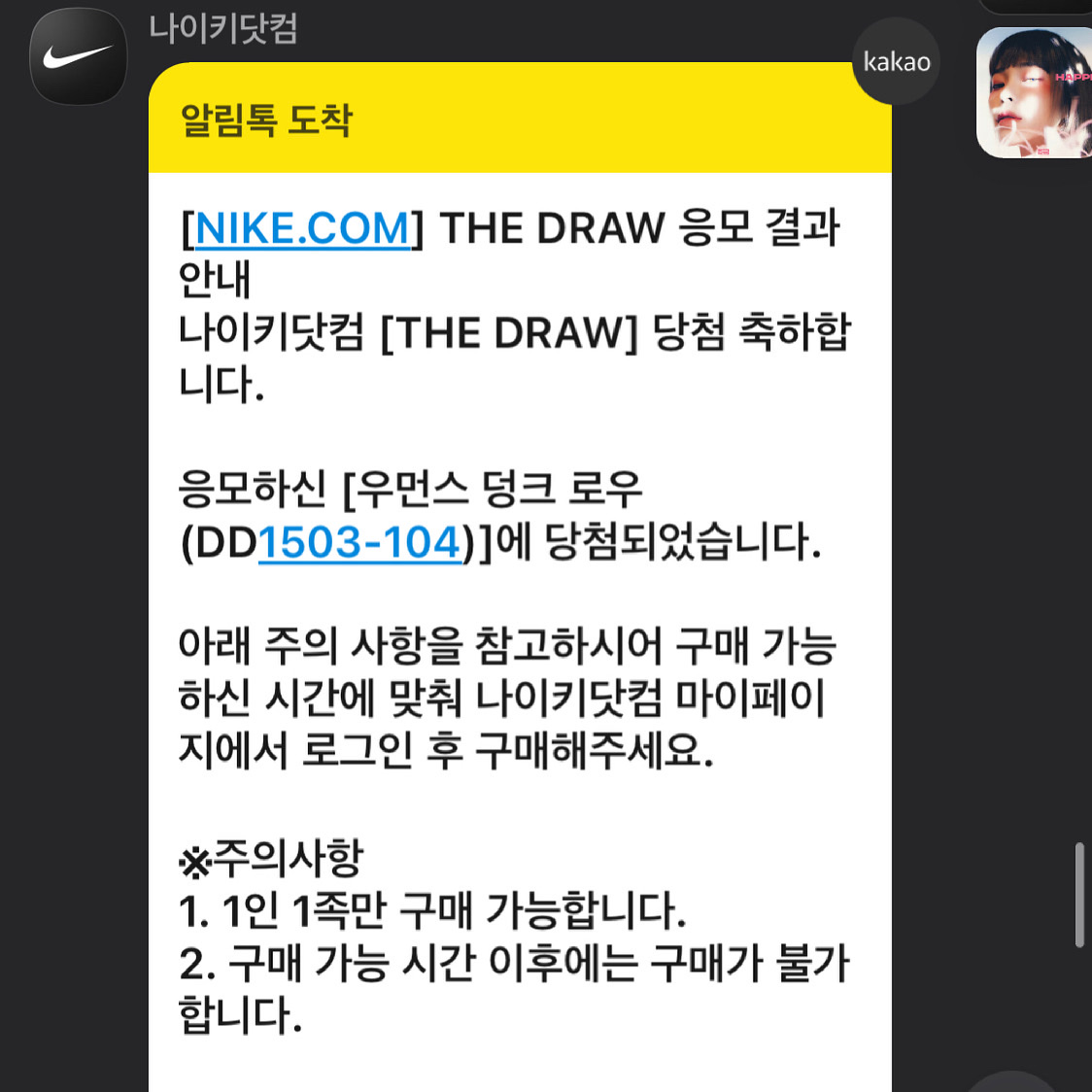 (W) Nike Dunk Low Barely Green 착용 스타일