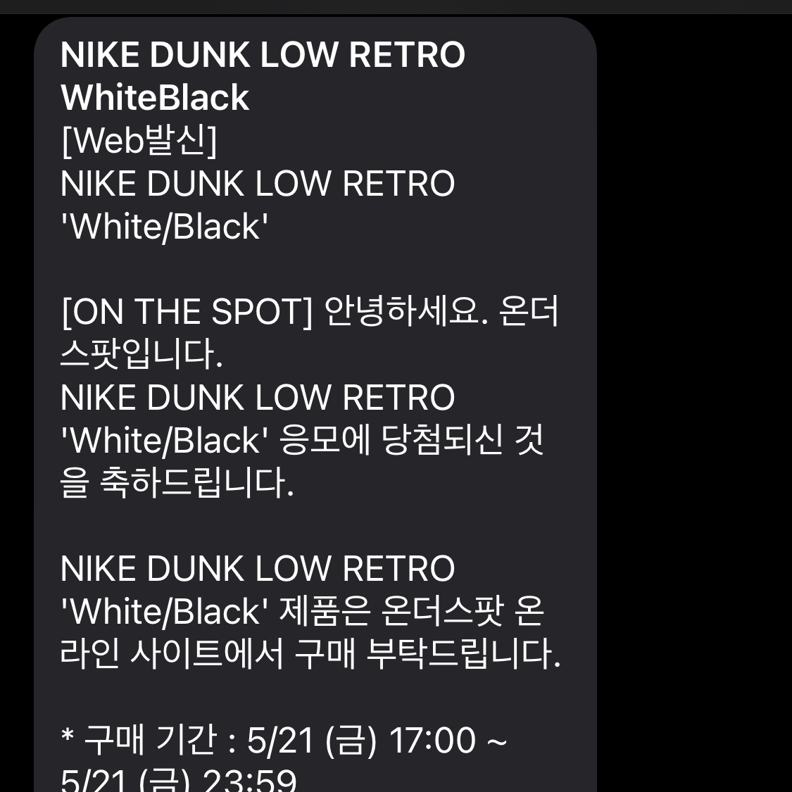 Nike Dunk Low Retro Black 착용 스타일