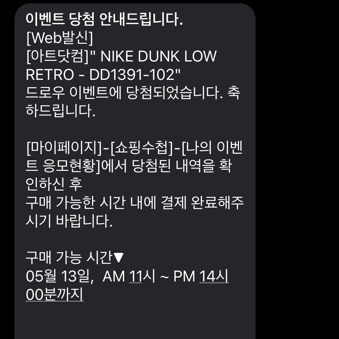Nike Dunk Low Retro University Blue 착용 스타일