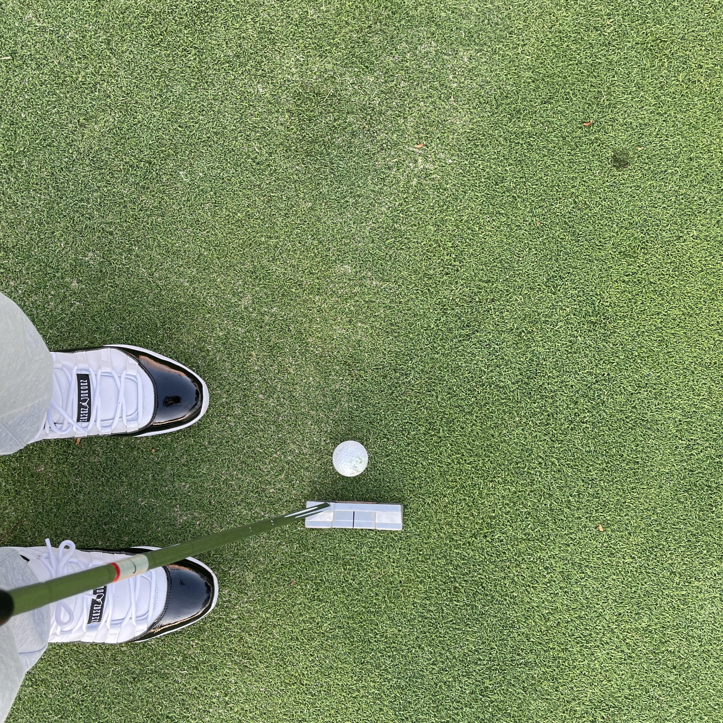 Jordan 11 Retro Low Golf Concord 착용 스타일 - 2