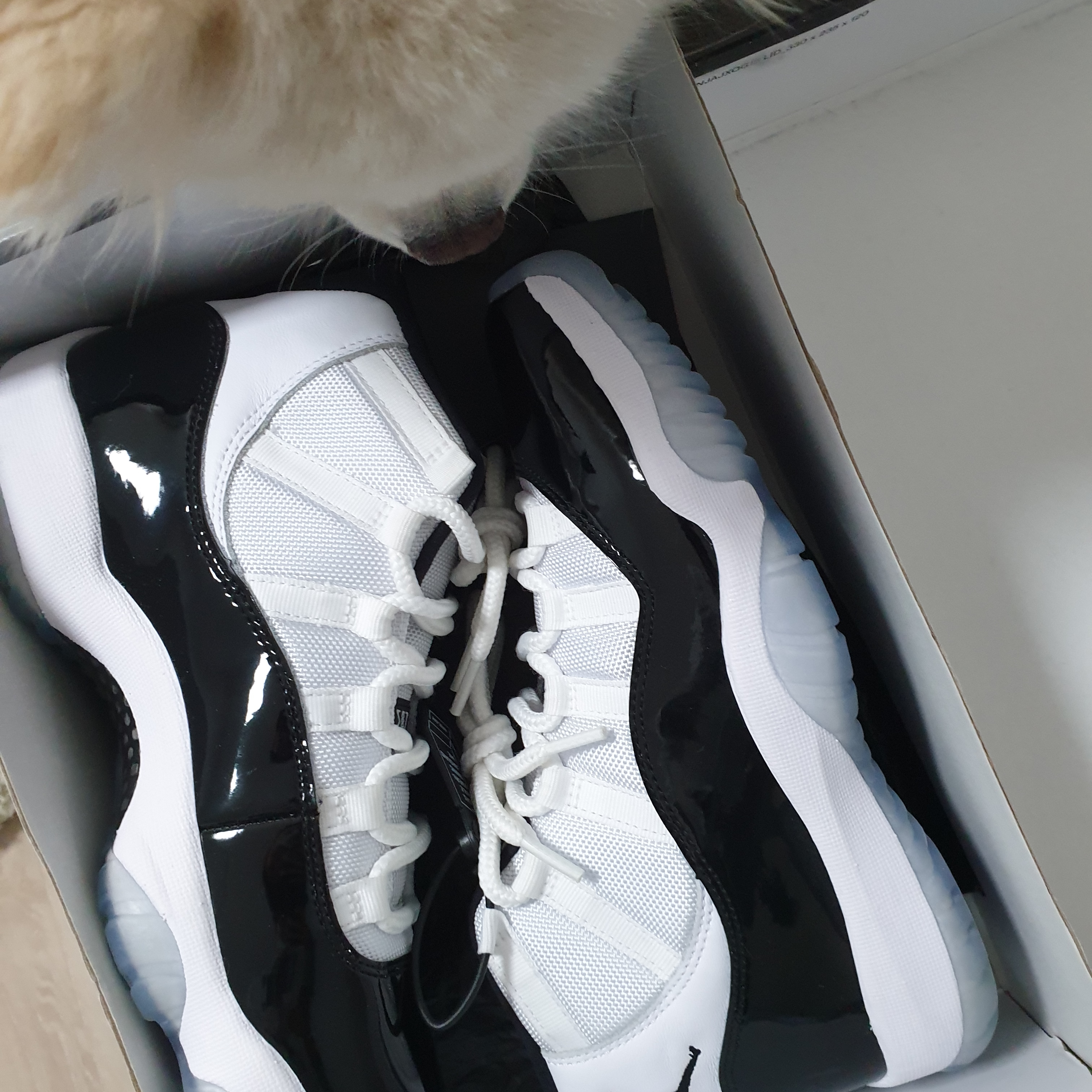Jordan 11 Retro Concord 2018 착용 스타일