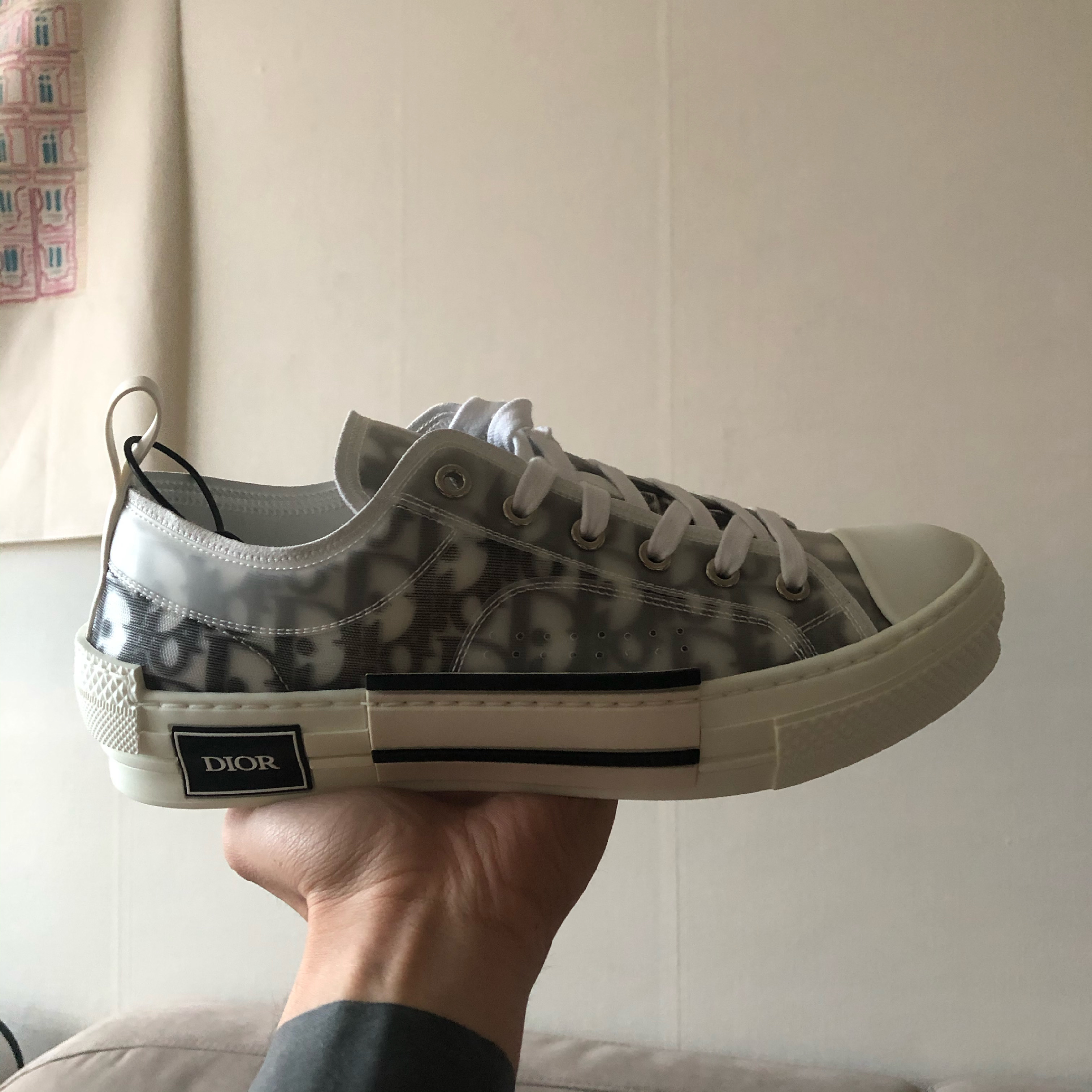 Dior B23 Low Dior Oblique White & Black 착용 스타일
