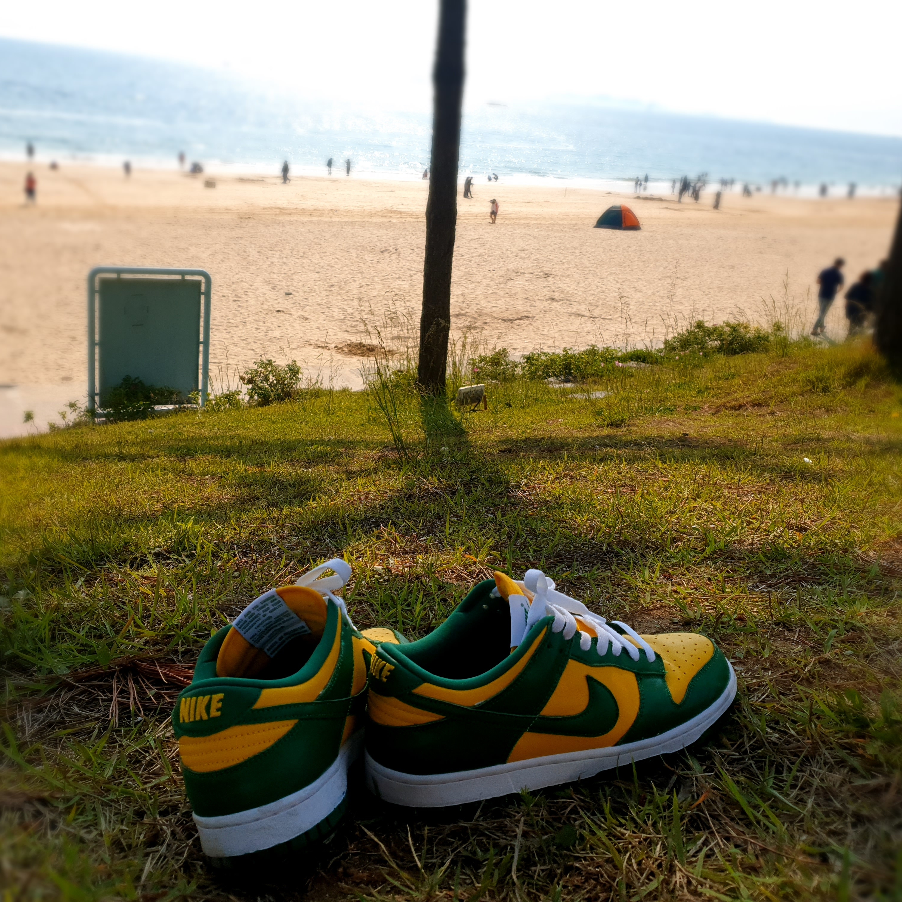 Nike Dunk Low SP Brazil 2020 착용 스타일