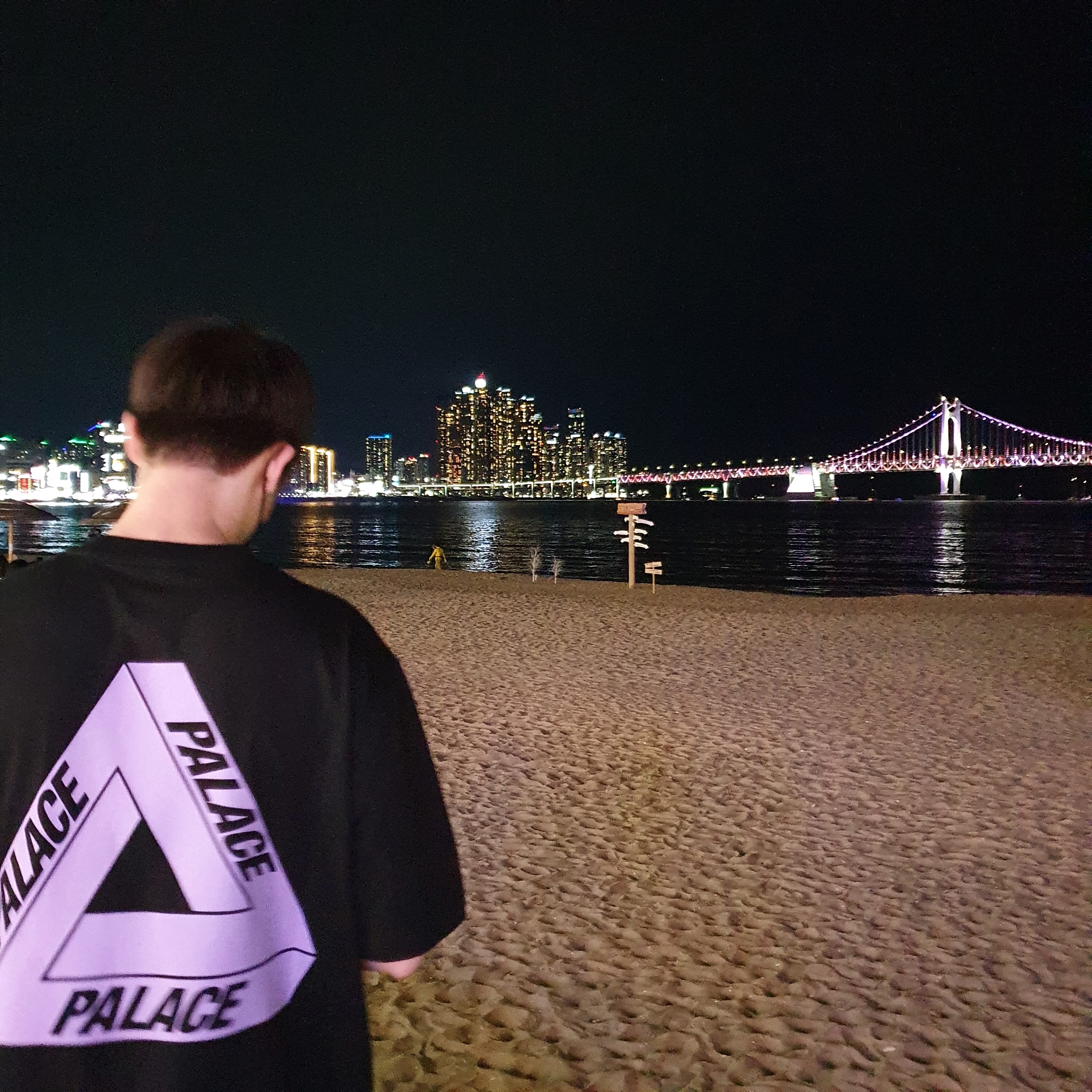 Palace Tri-To-Help T-Shirt Lilac - 20FW 착용 스타일