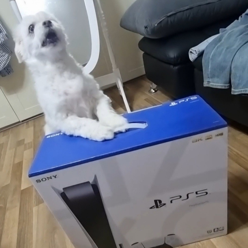 Playstation 5 Blu-ray Edition (SIEK 220V) 착용 스타일