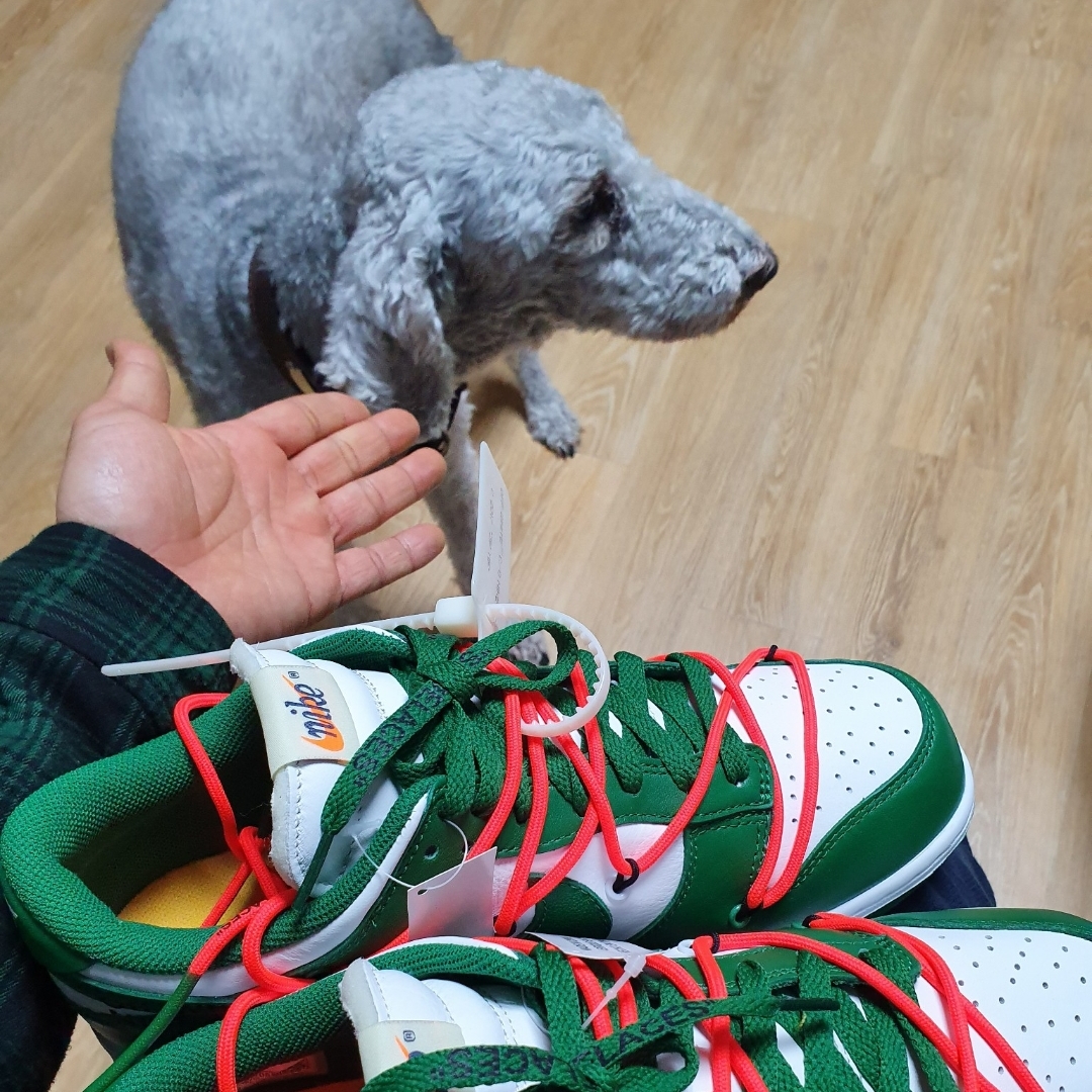 Nike x Off-White Dunk Low Pine Green 착용 스타일 - 1