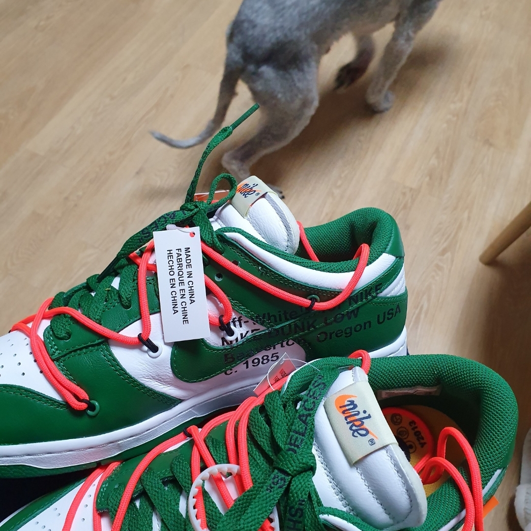 Nike x Off-White Dunk Low Pine Green 착용 스타일 - 3