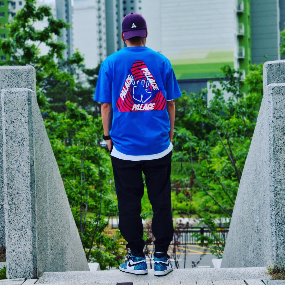 Palace Tri-Zooted Shakka T-Shirt Blue - 20FW, (W) Jordan 1 Retro High Tie-Dye 착용 스타일