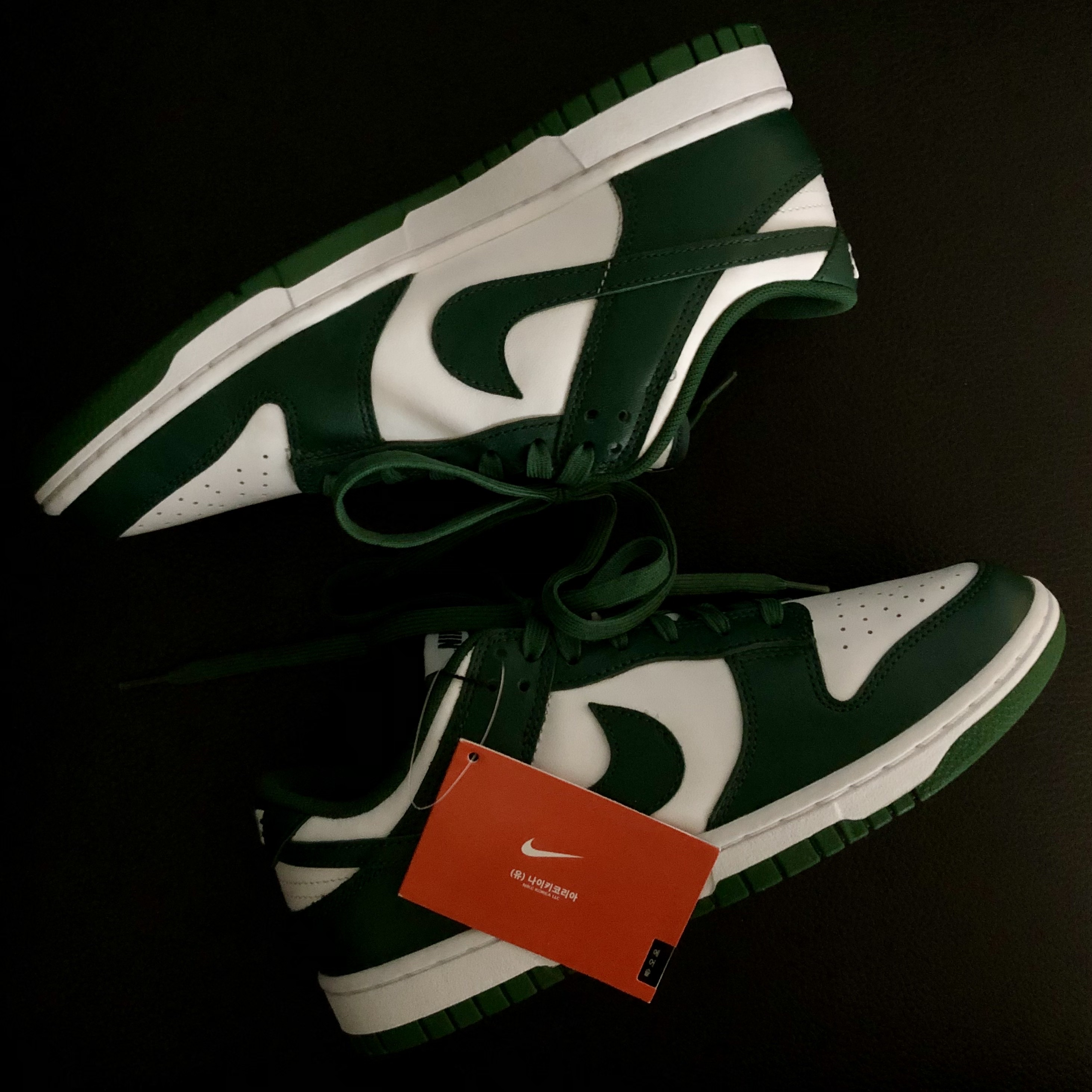 Nike Dunk Low Retro Varsity Green 착용 스타일