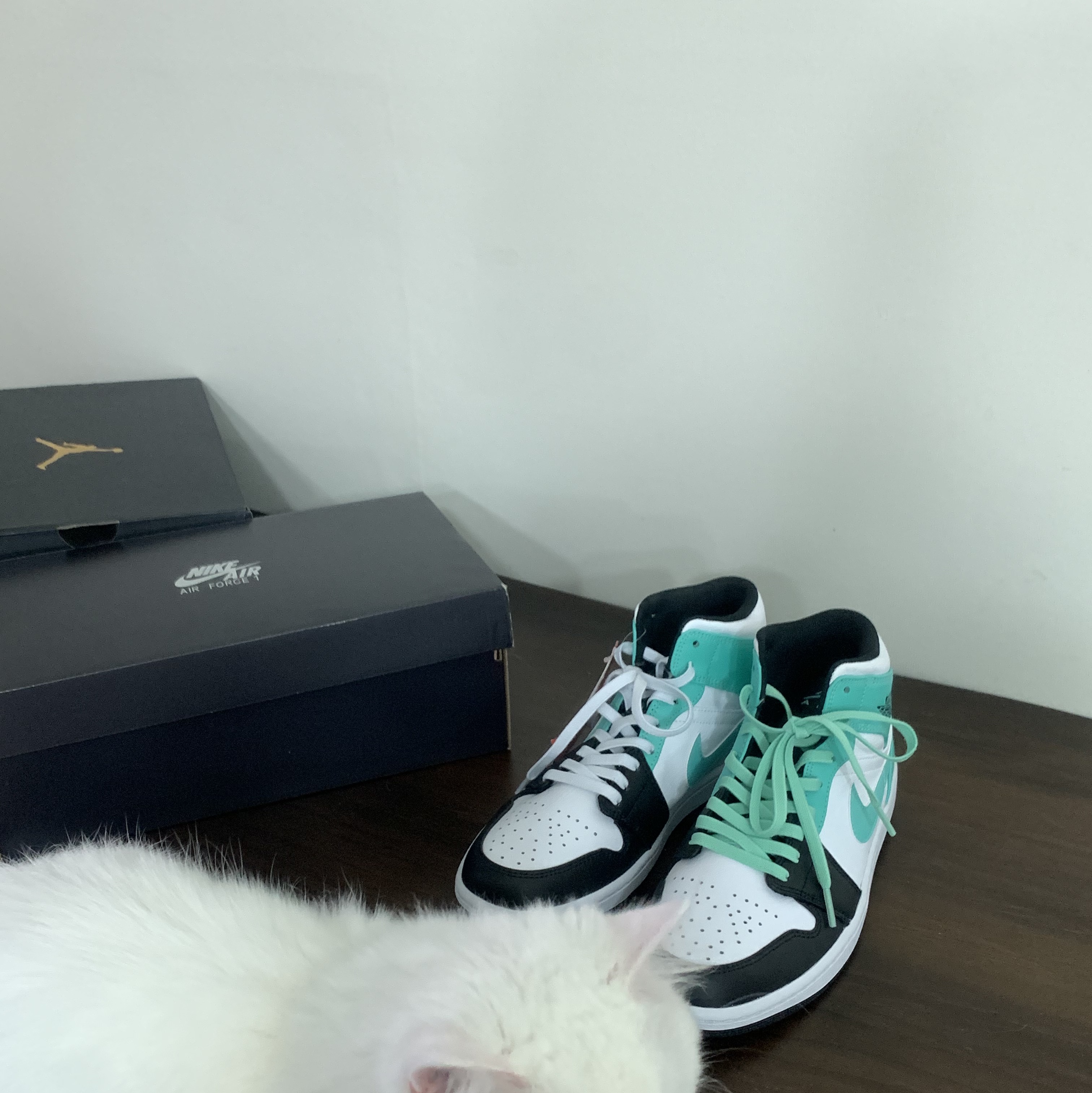 Jordan 1 Mid Tropical Twist 착용 스타일