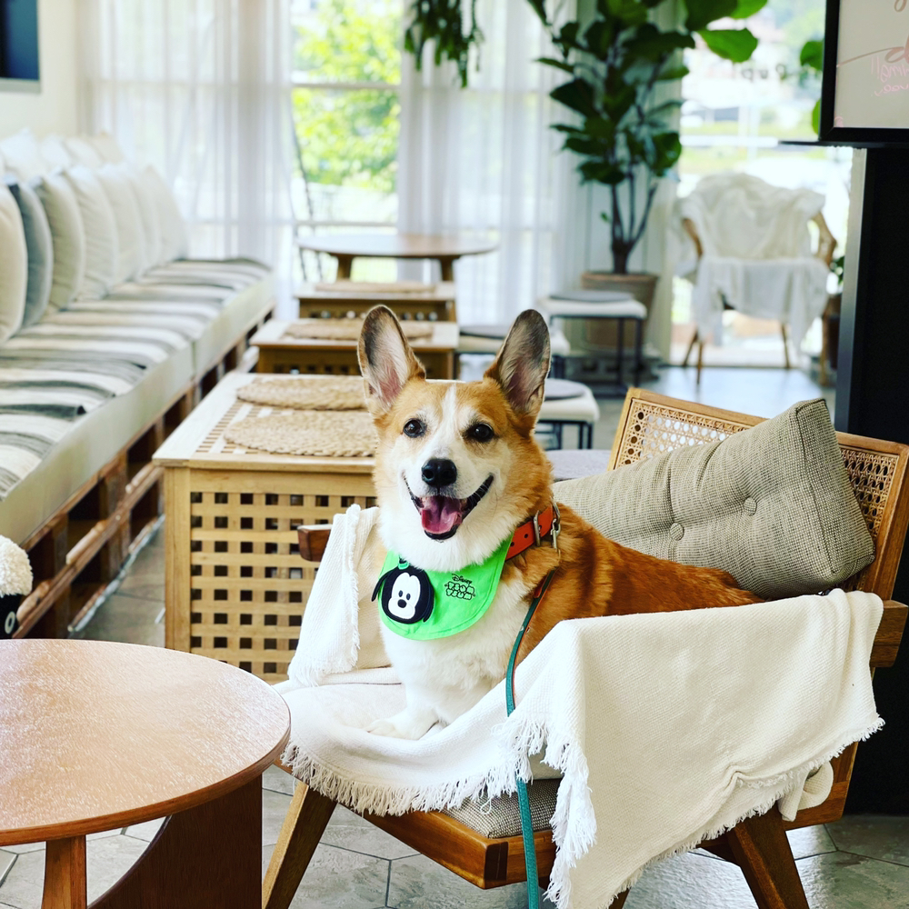 관심 유저 프로필 이미지