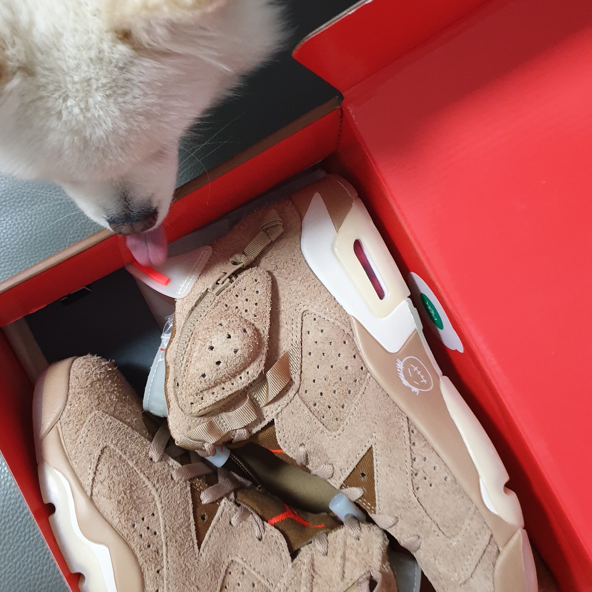 Jordan 6 x Travis Scott Retro SP British Khaki 착용 스타일