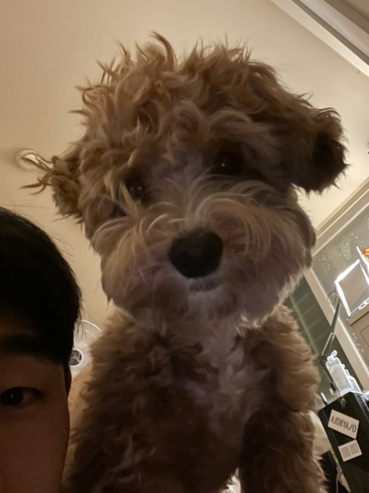 KREAM 프로필 이미지