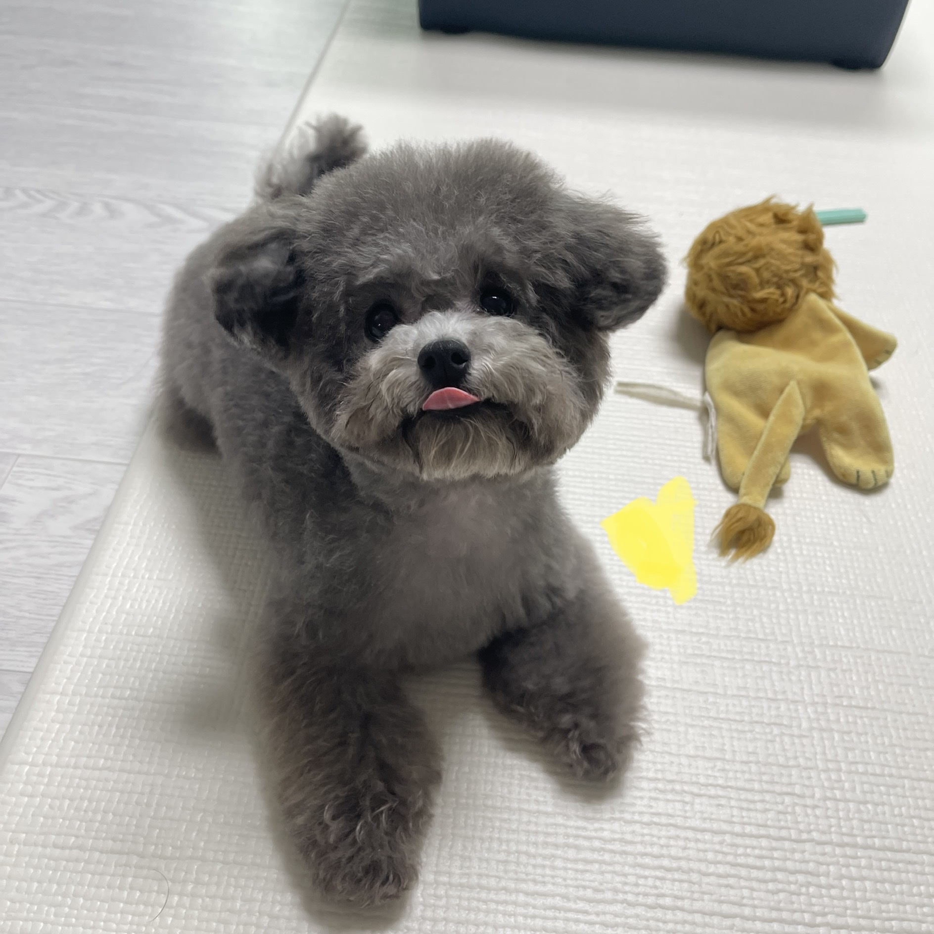 재몽님의 스타일 - 1