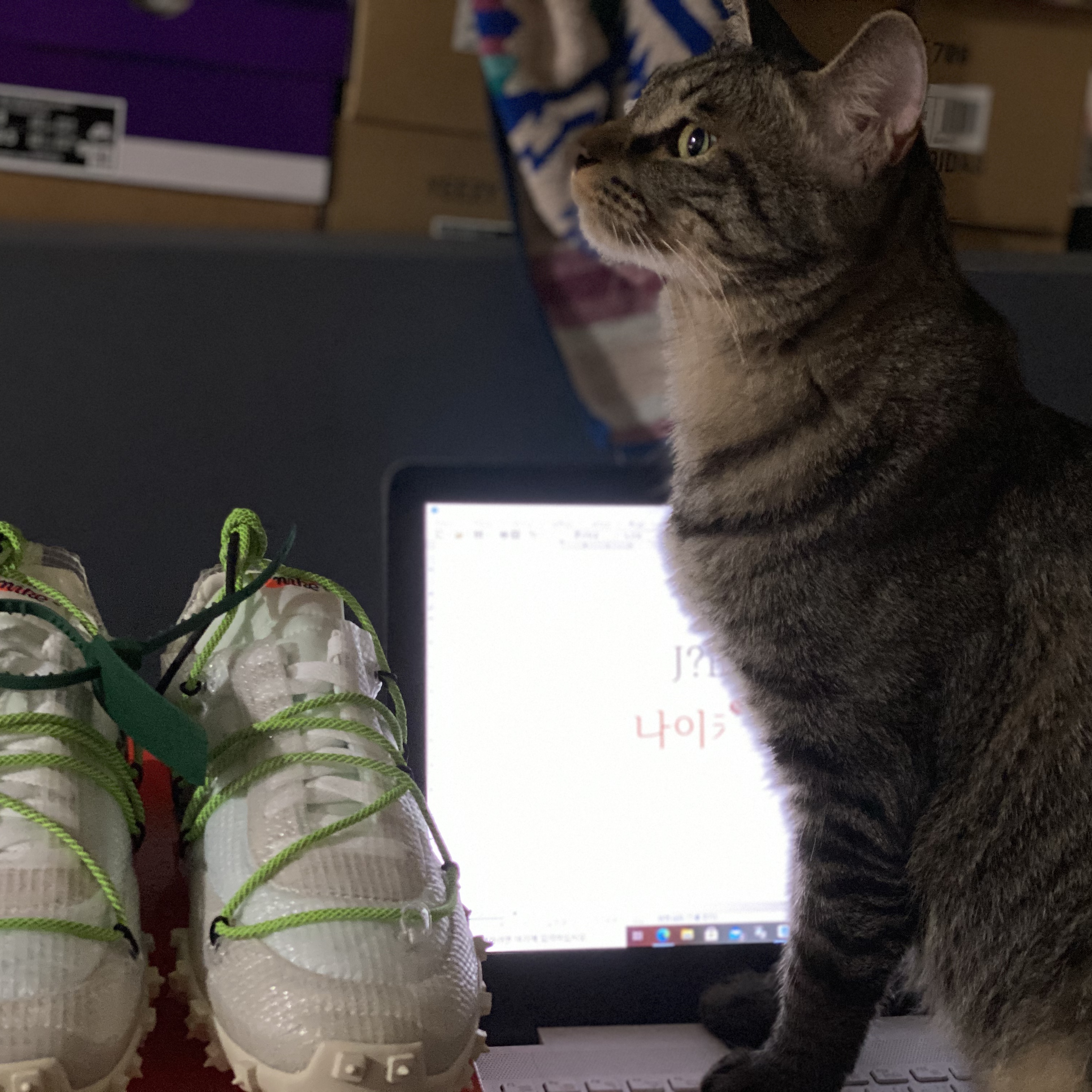 (W) Nike x Off-White Waffle Racer White 착용 스타일 - 1