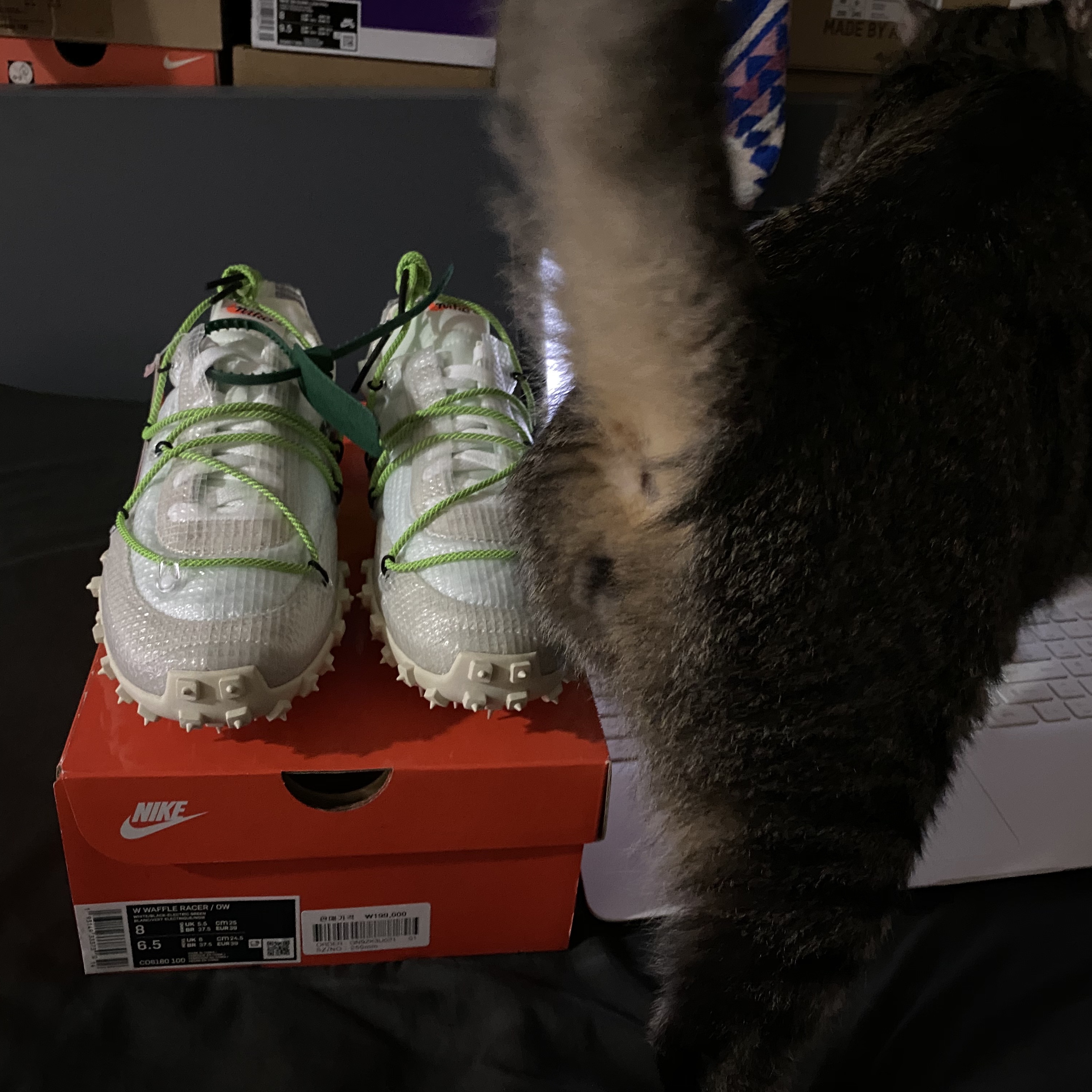 (W) Nike x Off-White Waffle Racer White 착용 스타일 - 2