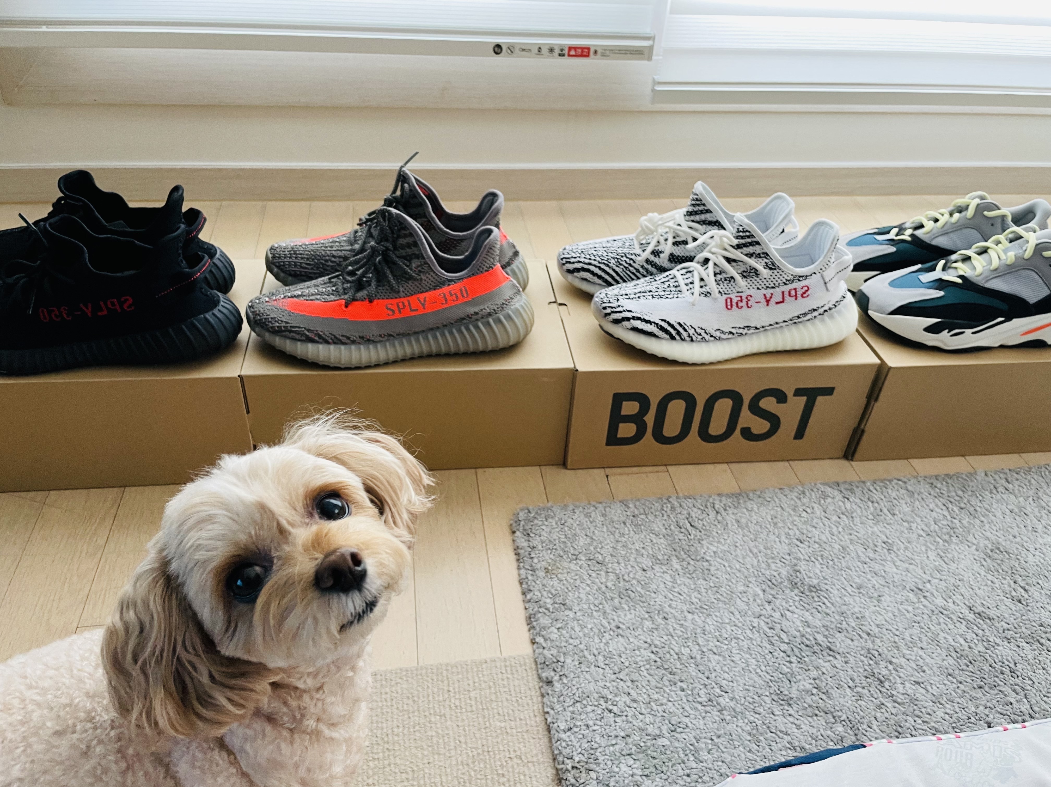 Adidas Yeezy Boost 350 V2 Black Red 2020, Adidas Yeezy Boost 350 V2 Zebra 2017/2019/2020 착용 스타일