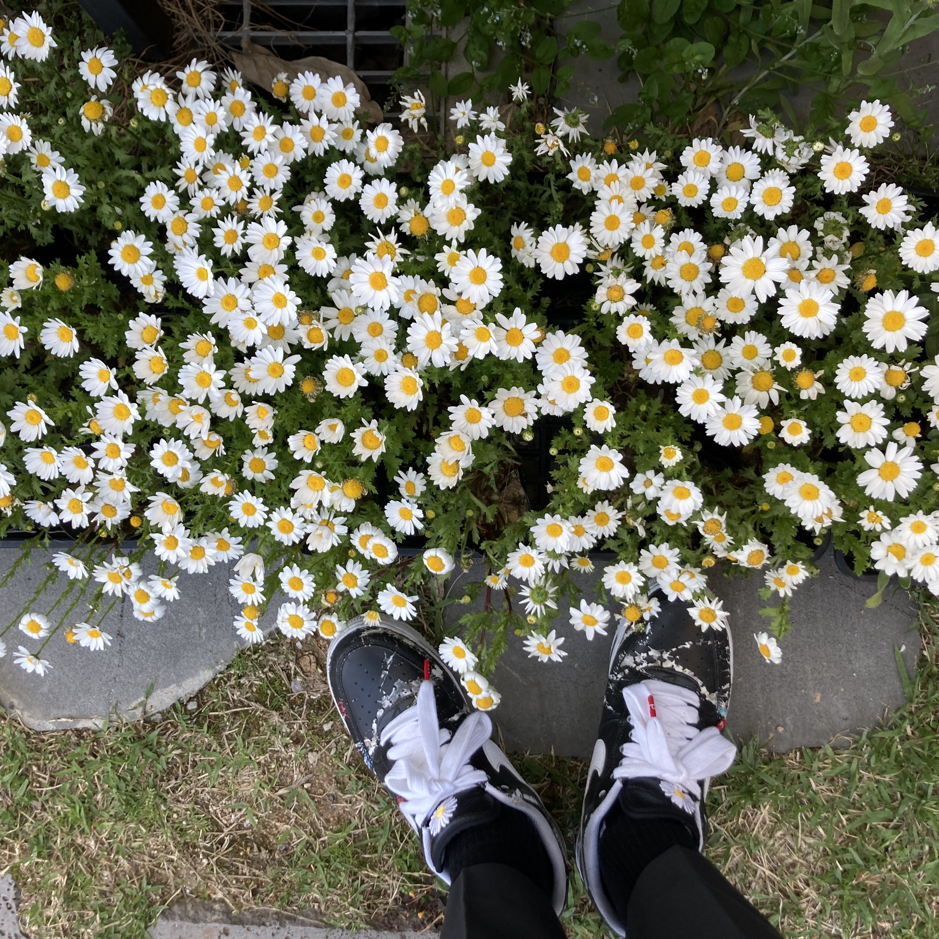 Nike x Stussy NRG BR LS Knit Top, Nike x Peaceminusone Air Force 1 Low Para-Noise 착용 스타일 - 3