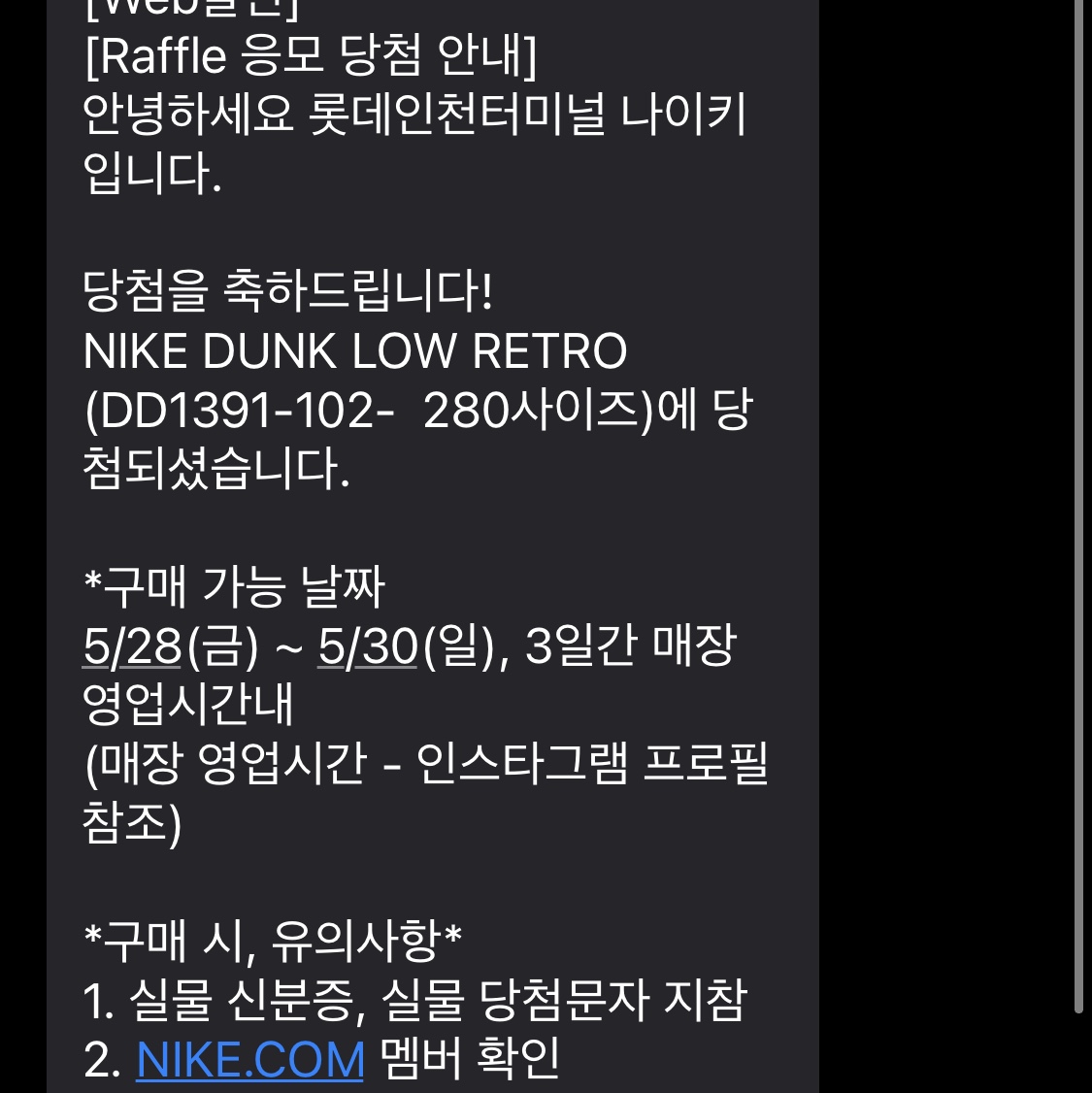 Nike Dunk Low Retro University Blue 착용 스타일