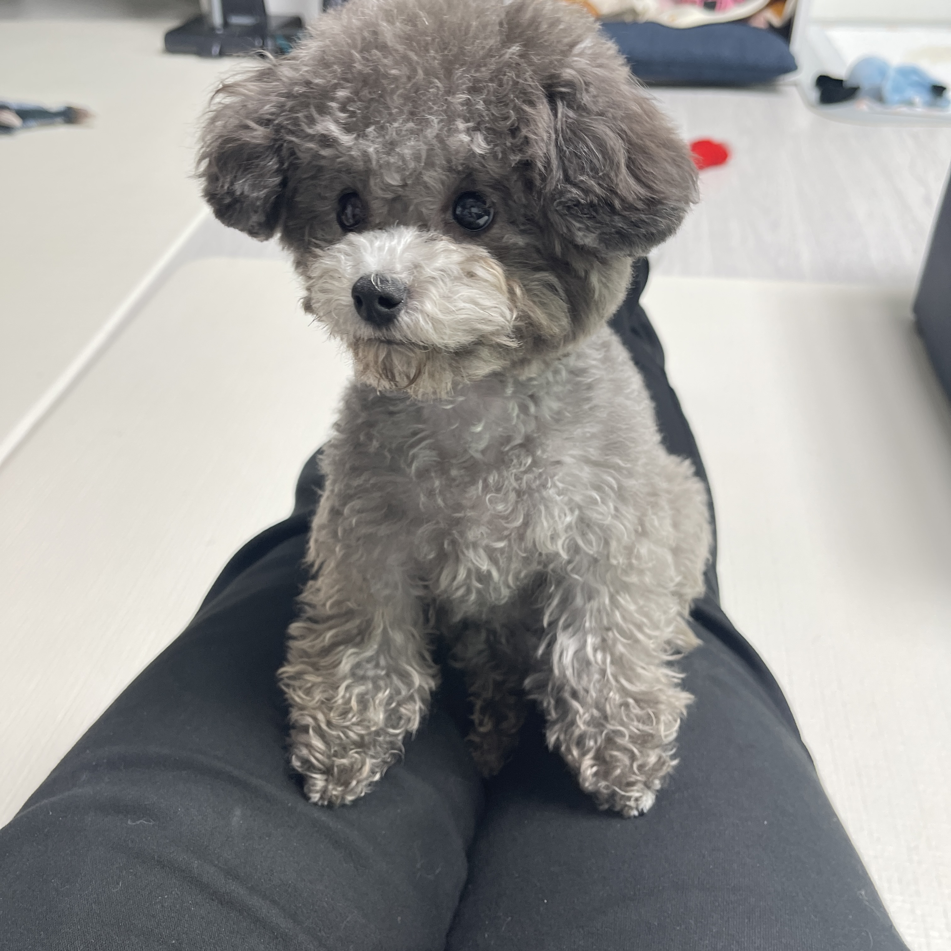 재몽님의 스타일 - 1