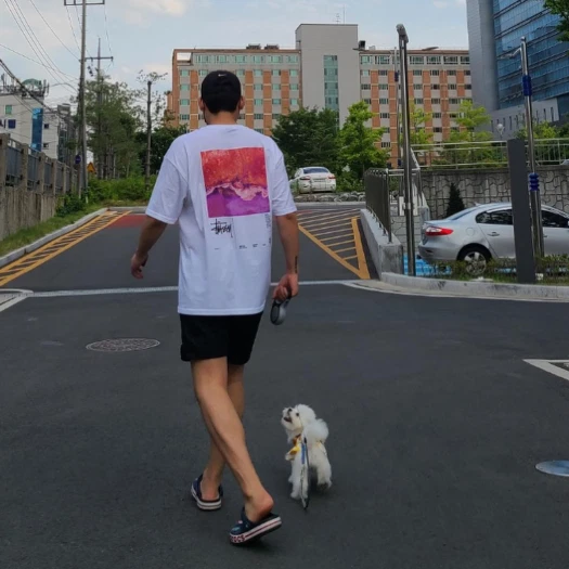 스타일 카드