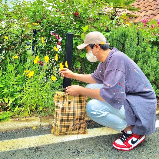 스타일 카드