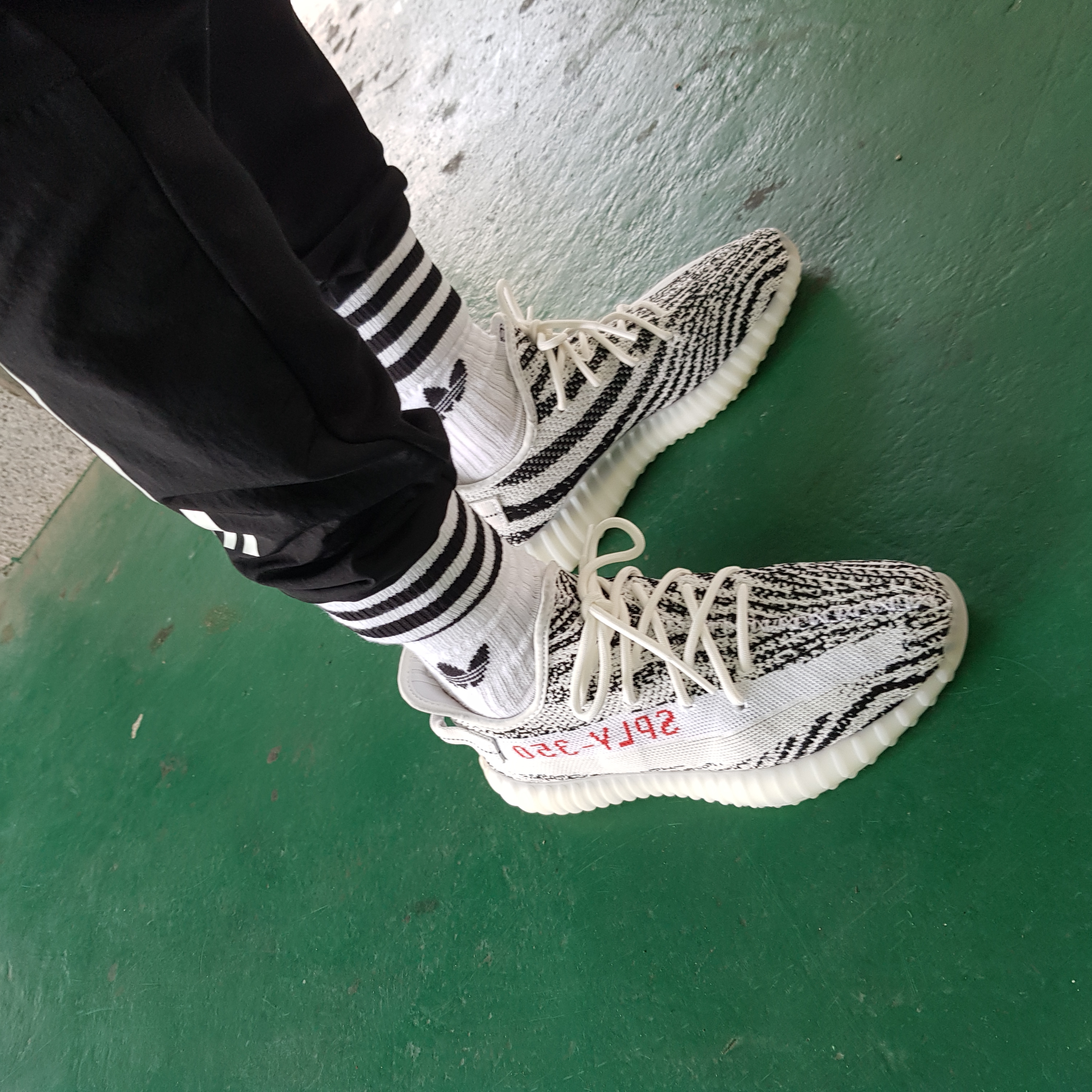 Adidas Yeezy Boost 350 V2 Zebra 2017/2019/2020 착용 스타일