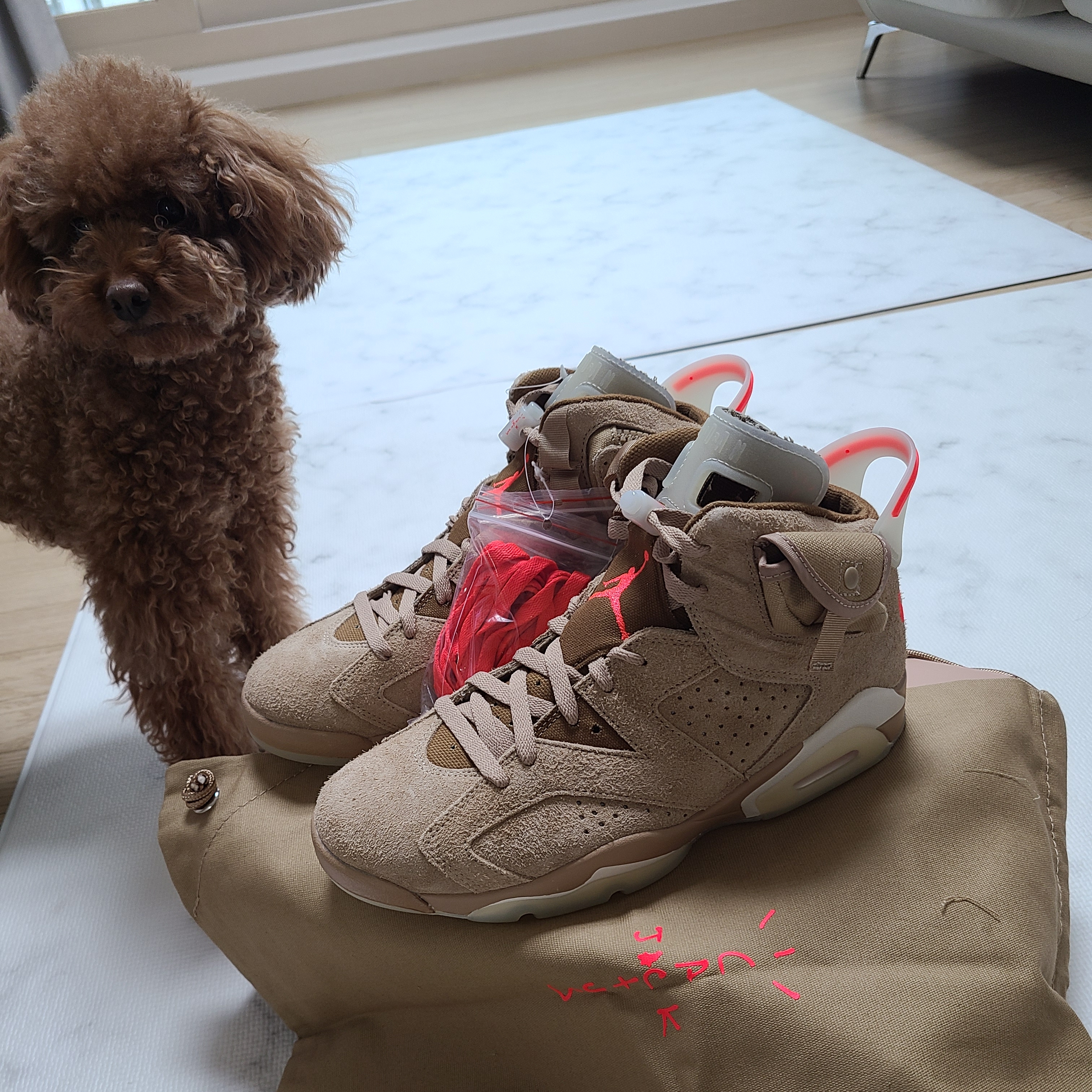 Jordan 6 x Travis Scott Retro SP British Khaki 착용 스타일