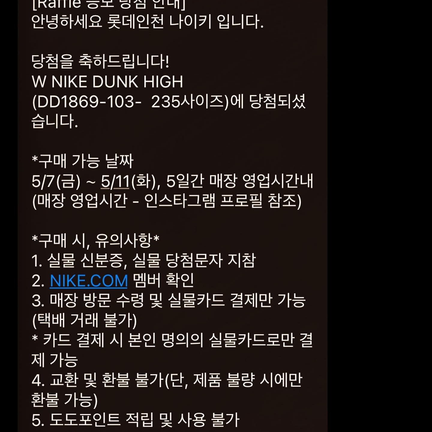 (W) Nike Dunk High Black and White 착용 스타일 - 3