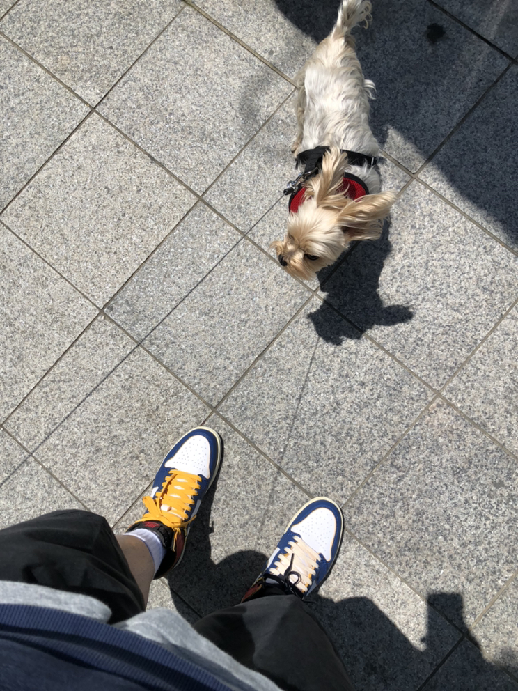 KREAM 프로필 이미지