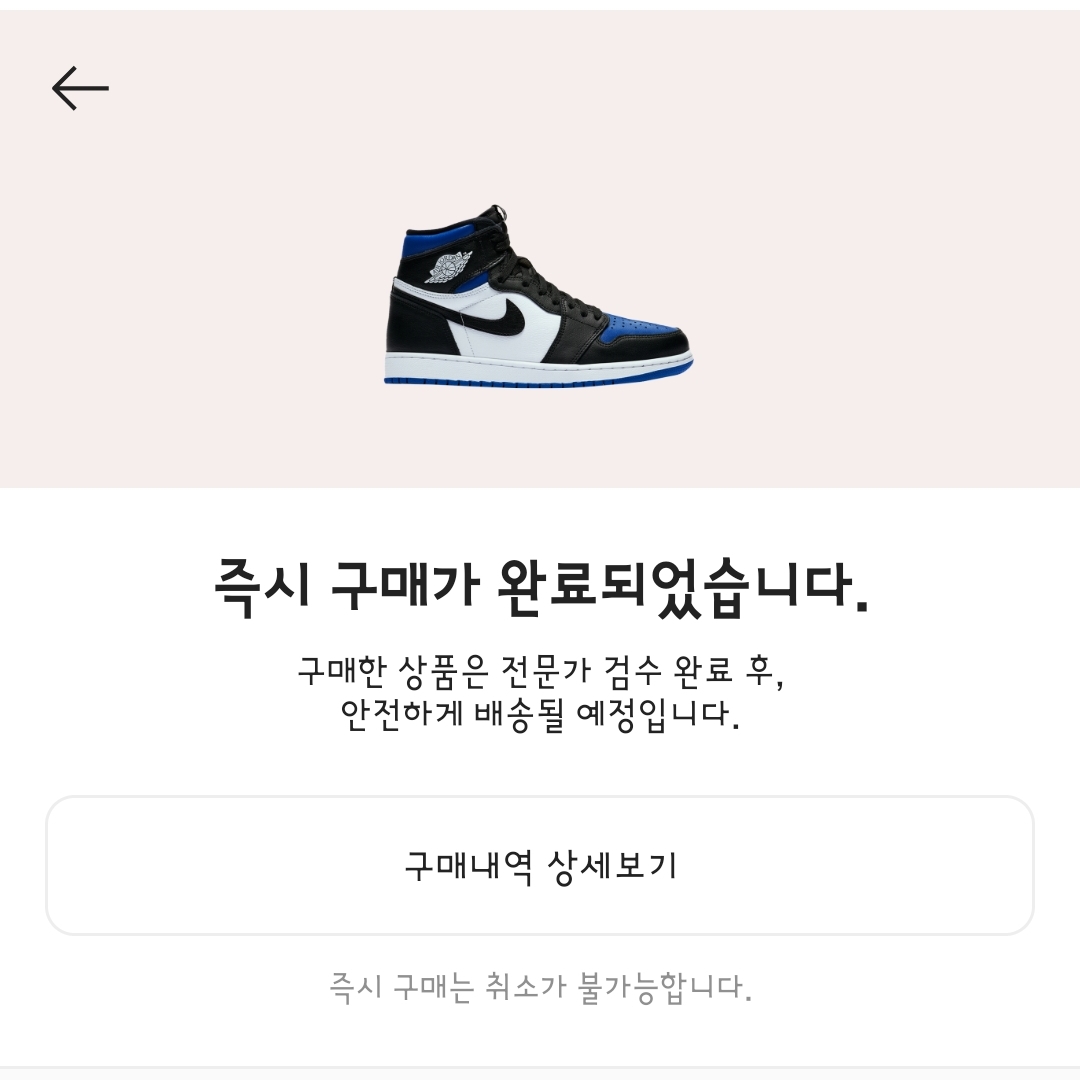 Jordan 1 Retro High OG Royal Toe 착용 스타일