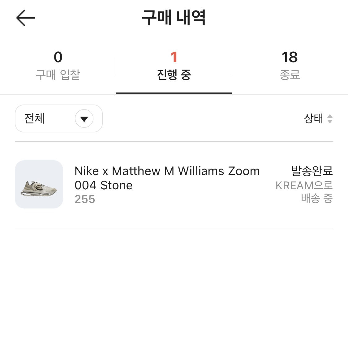 Nike x Matthew M Williams Zoom 004 Stone 착용 스타일