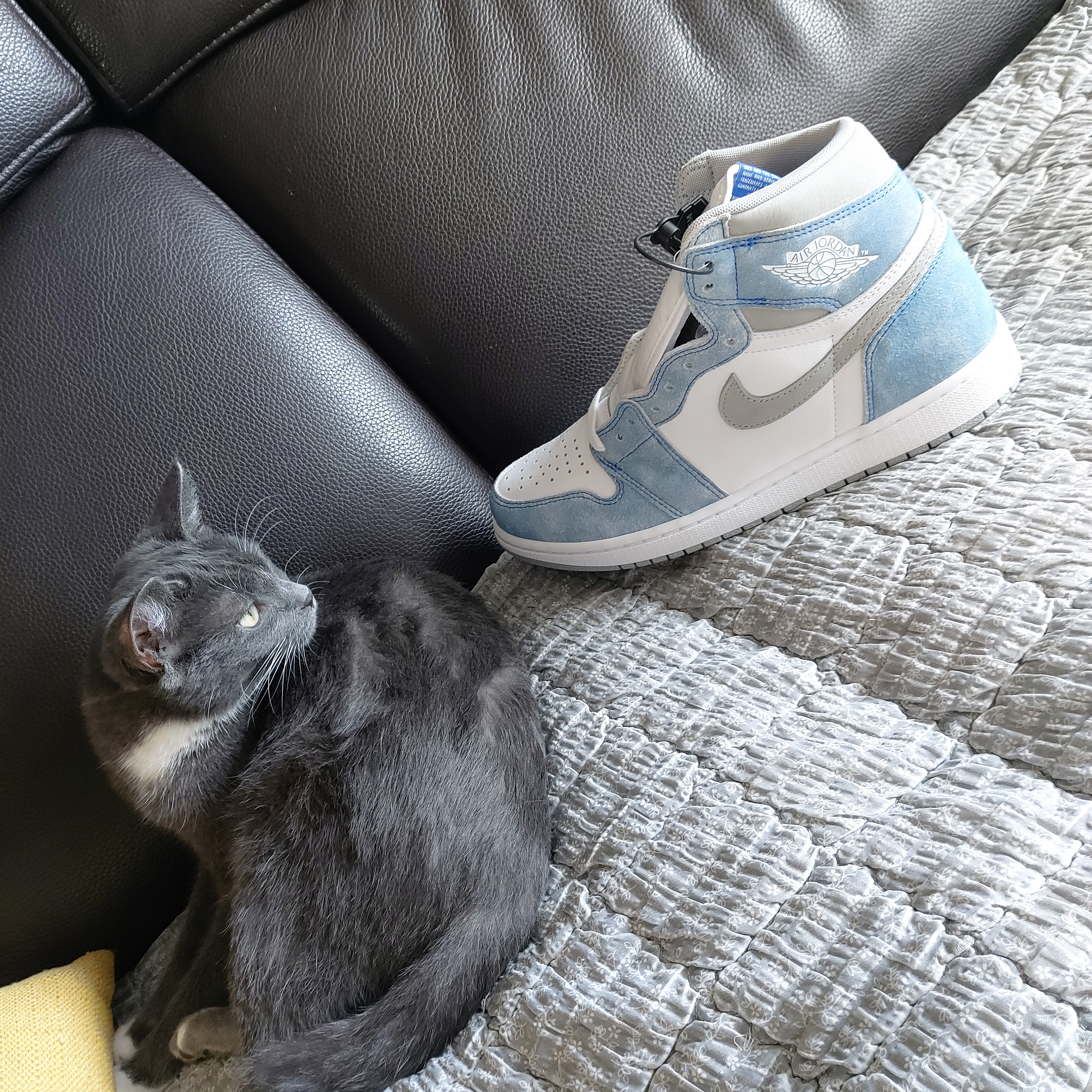 Jordan 1 Retro High OG Hyper Royal 착용 스타일