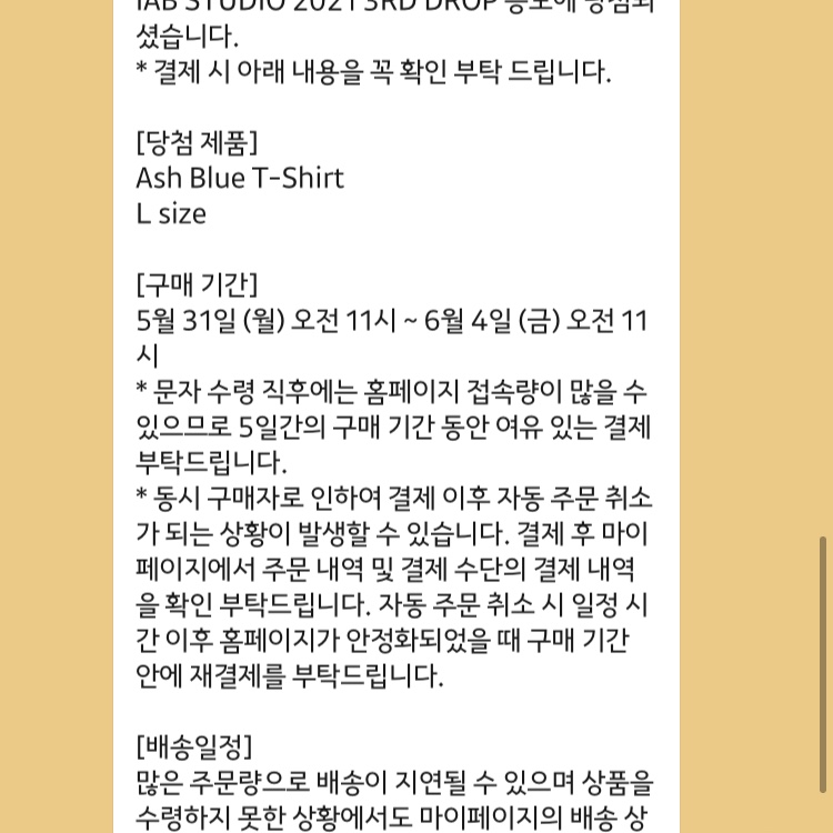 IAB Studio T-Shirt Ash Blue - 21SS 착용 스타일
