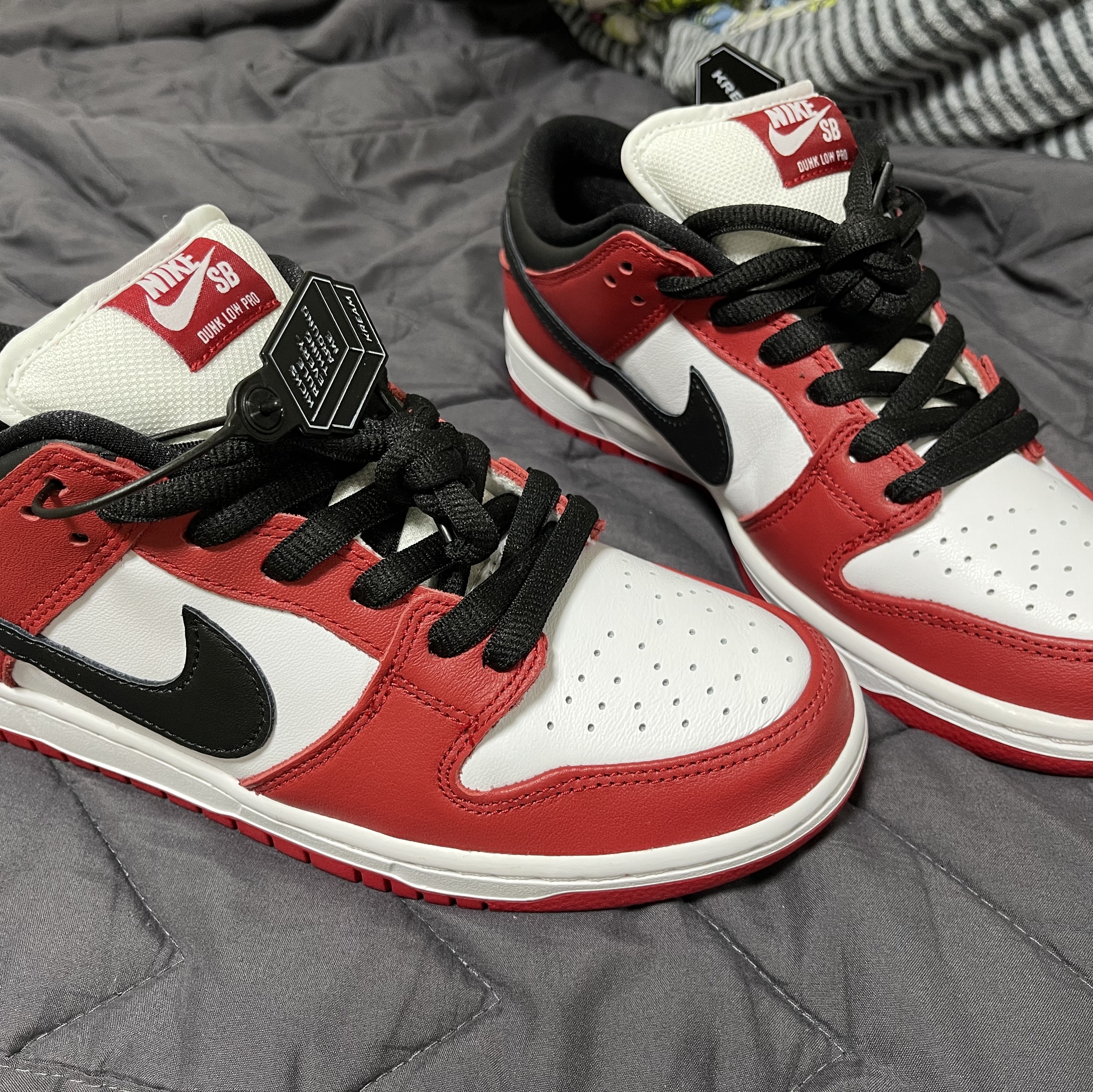 Nike SB Dunk Low Pro Chicago 착용 스타일