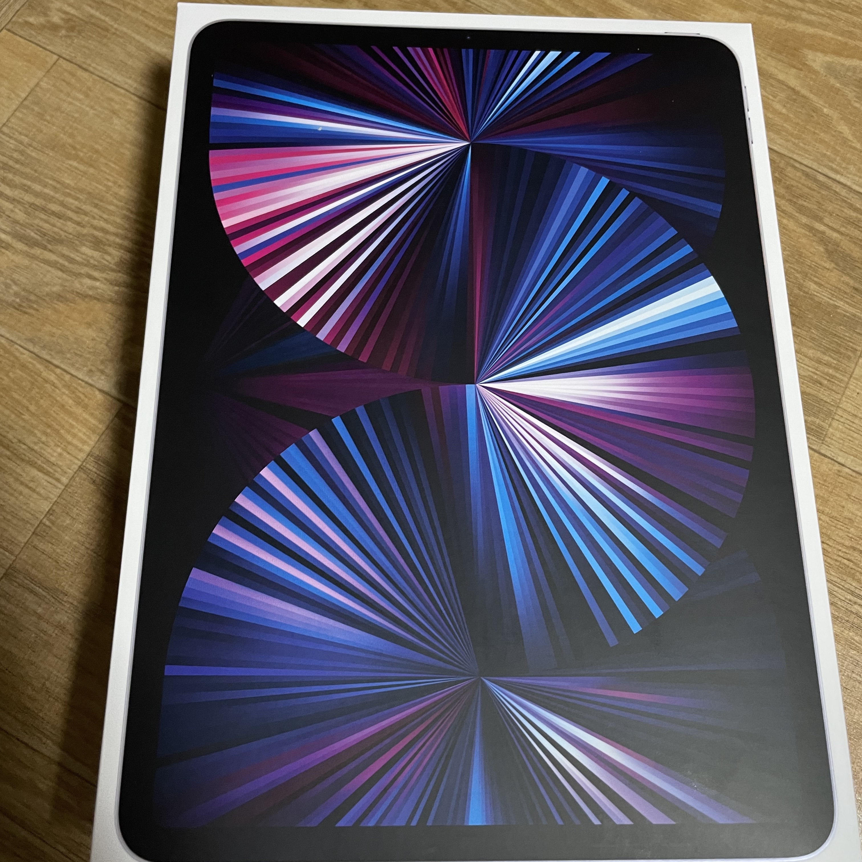 Apple iPad Pro 3rd Gen 11-inch Cellular 1TB Silver (Korean Ver.) 착용 스타일 - 1