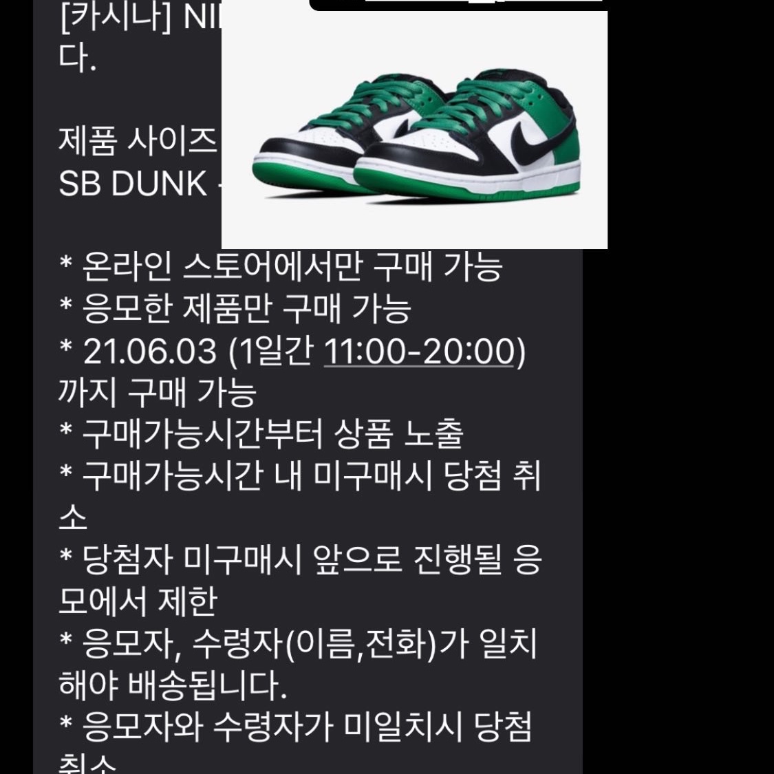 Nike SB Dunk Low Pro Black and Classic Green 착용 스타일