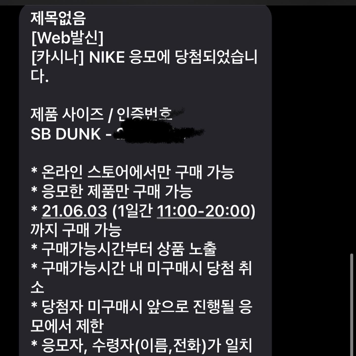Nike SB Dunk Low Pro Black and Classic Green 착용 스타일 - 1