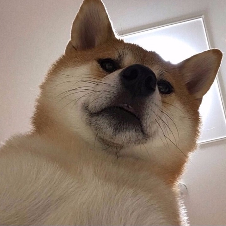 관심 유저 프로필 이미지