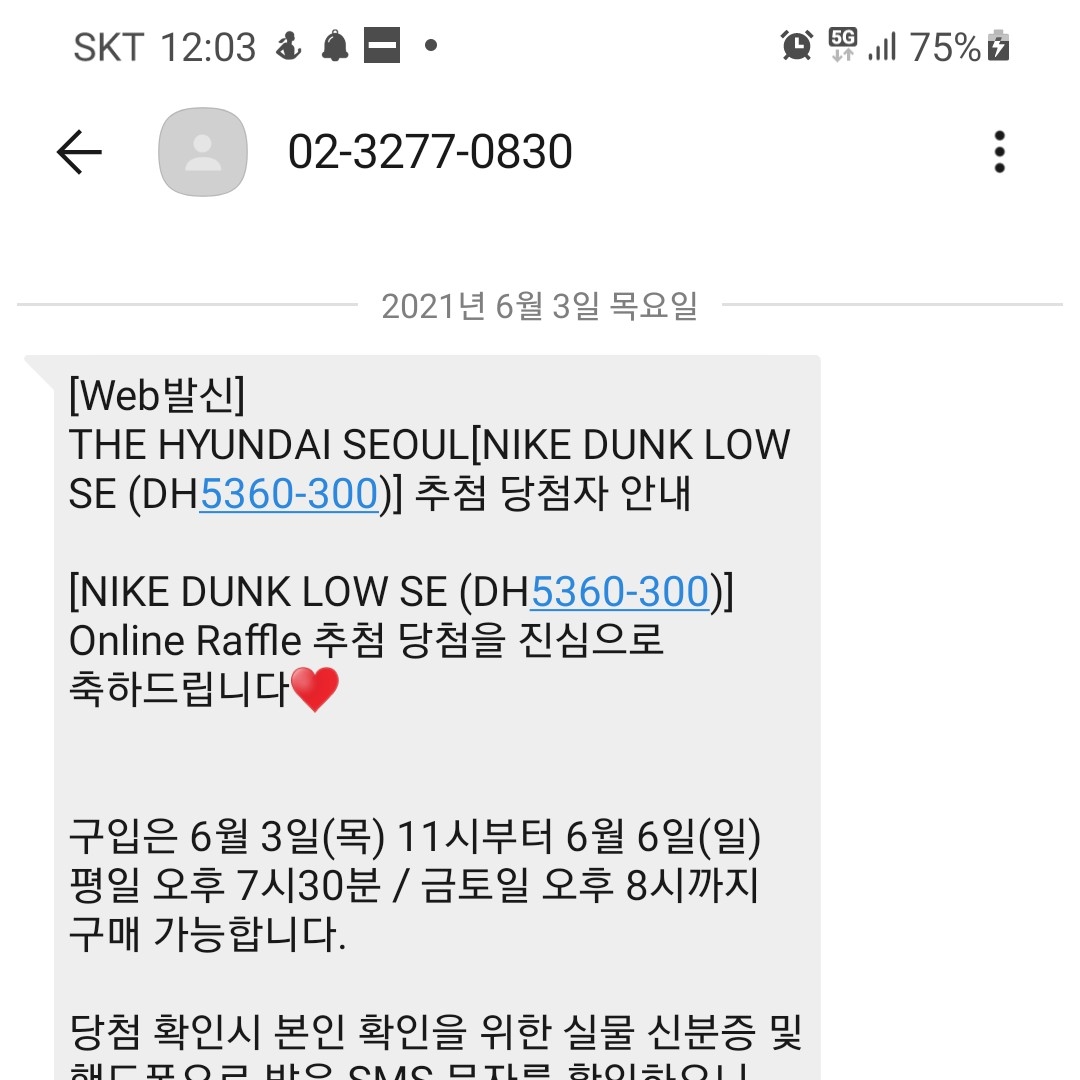 Nike Dunk Low SE Dusty Olive 착용 스타일