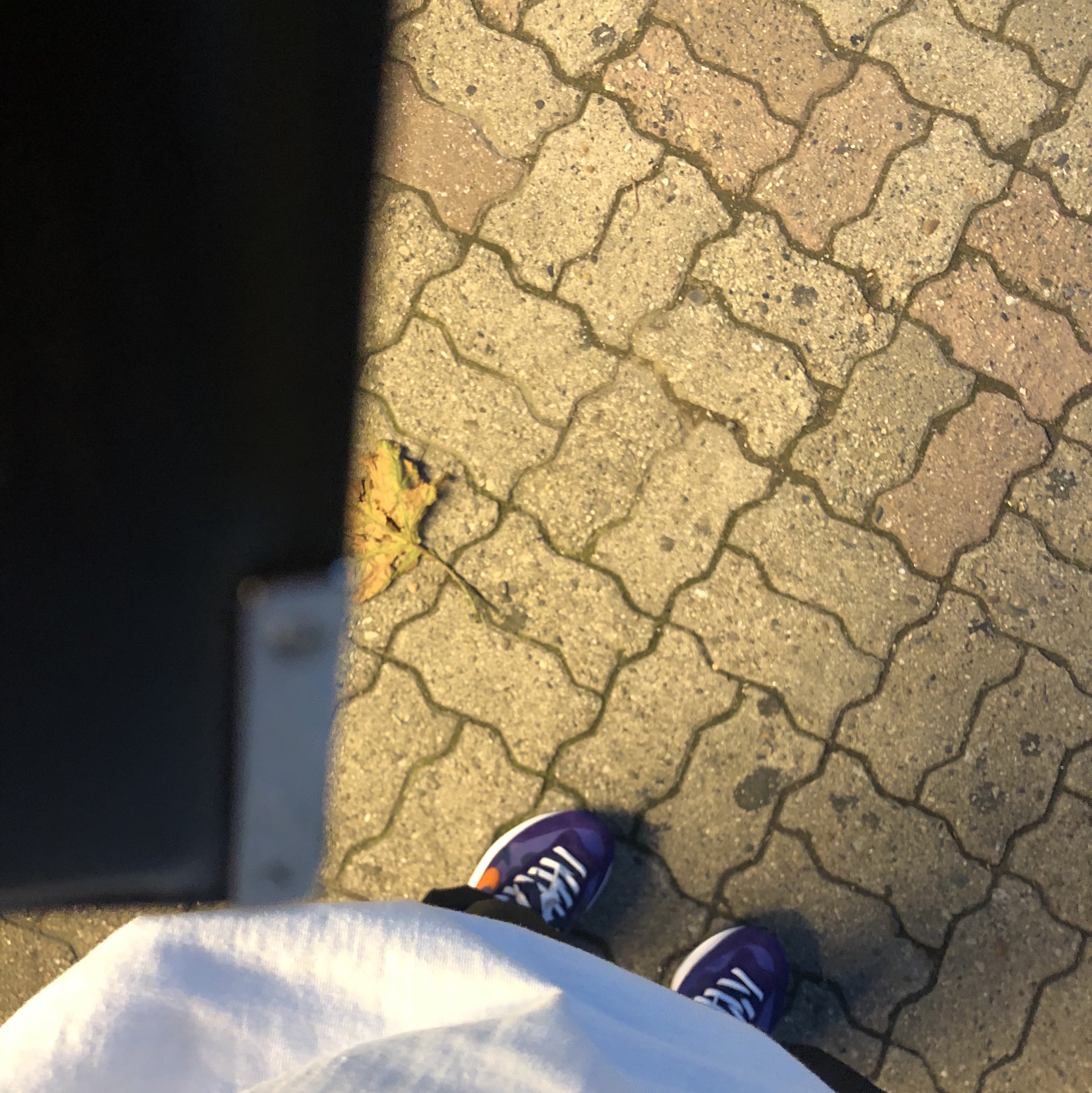 Nike x Sacai VaporWaffle Dark Iris 착용 스타일