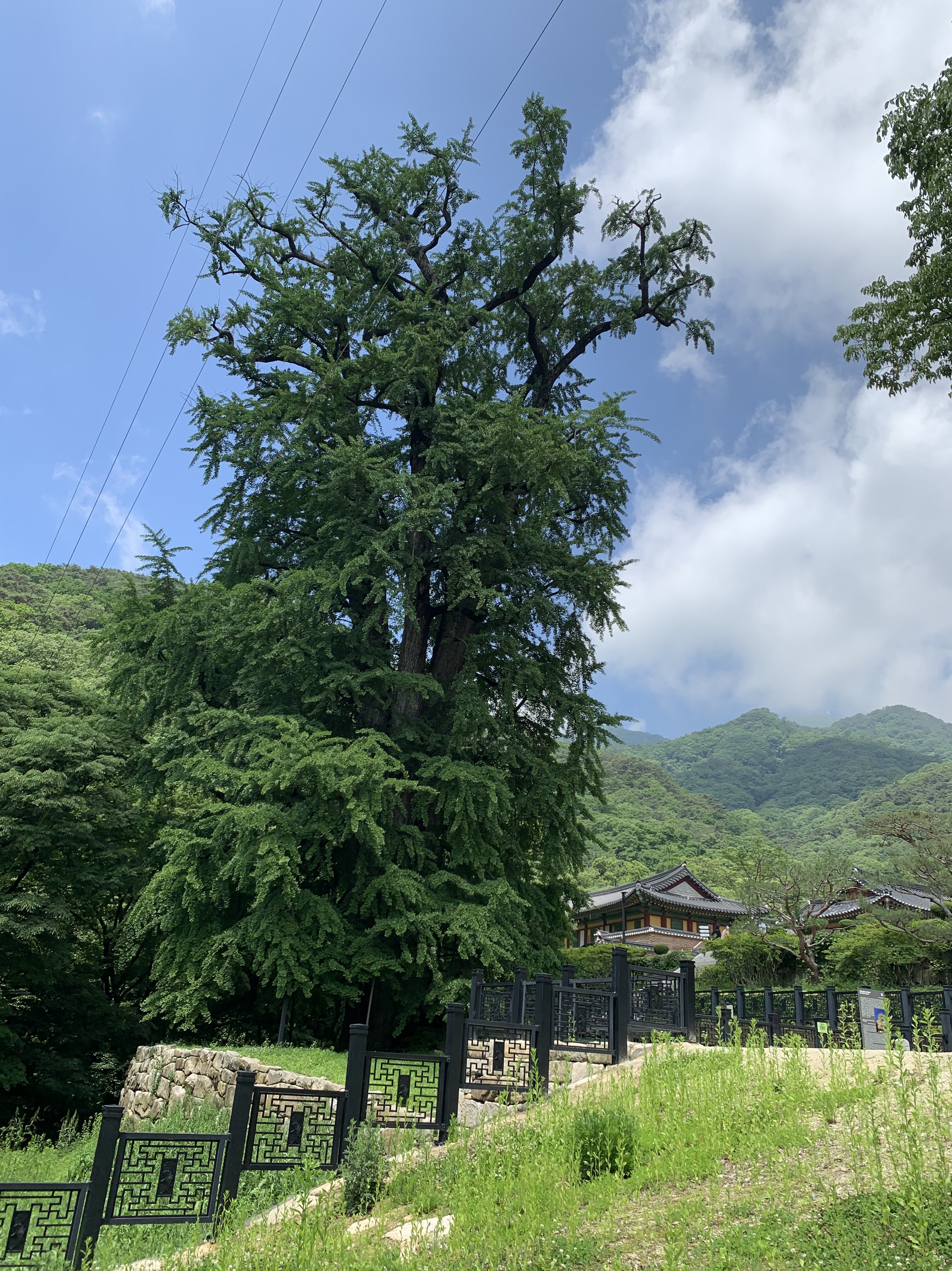 sunghoon님의 스타일 - 1