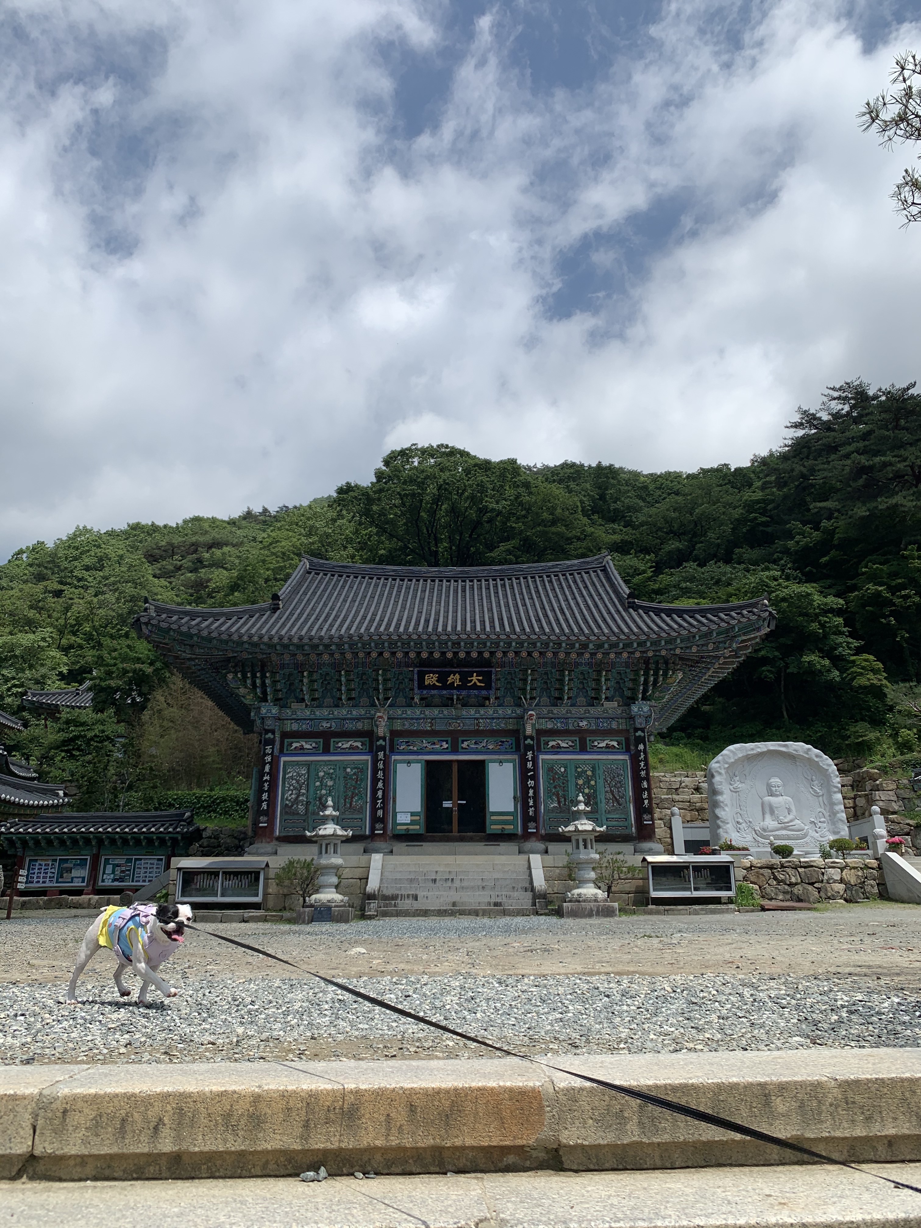 sunghoon님의 스타일 - 2