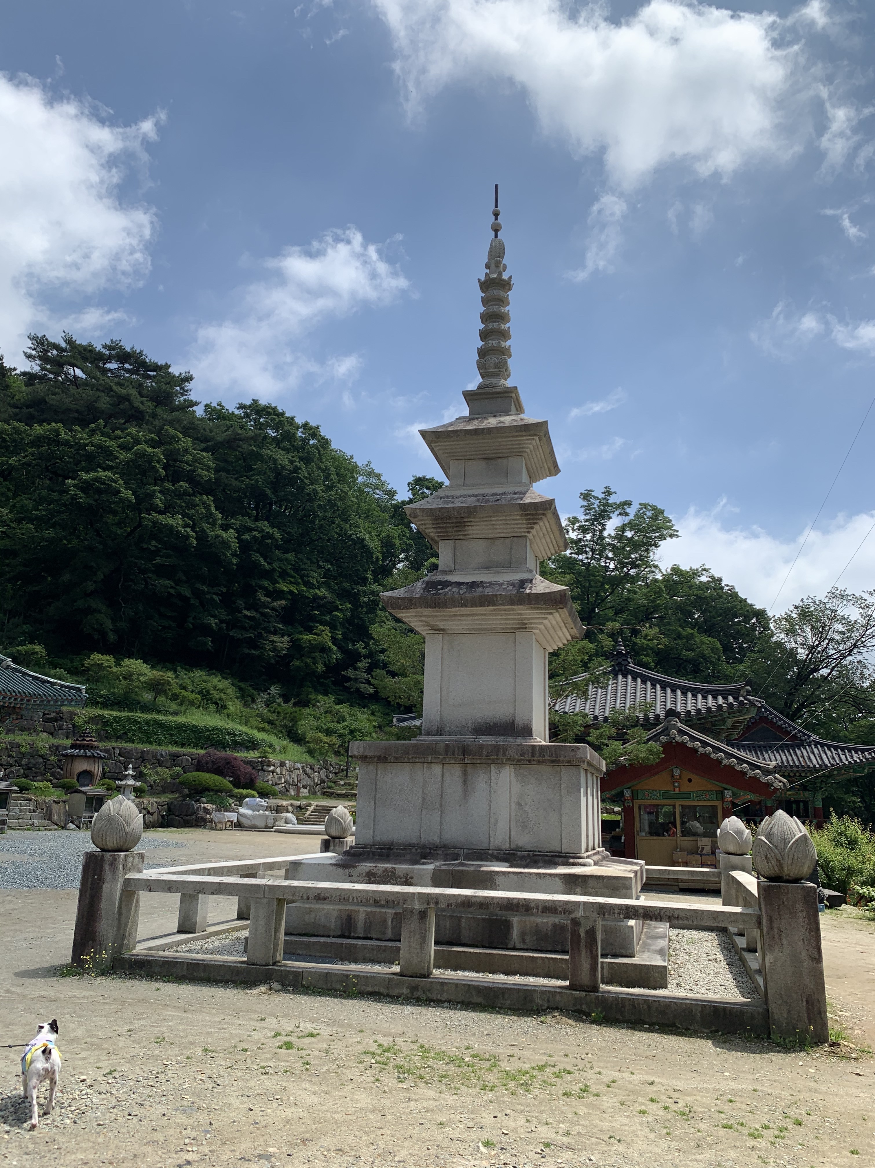 sunghoon님의 스타일 - 3