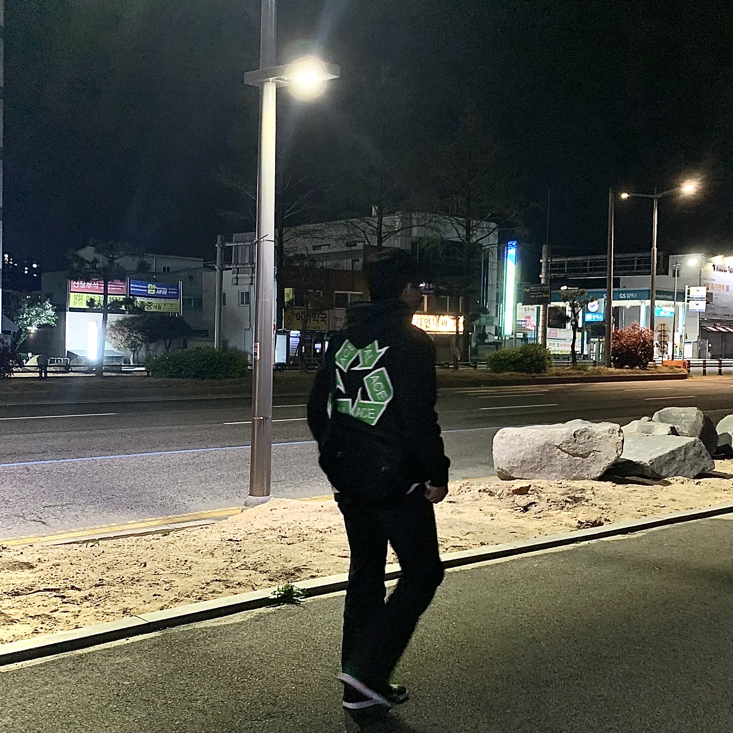 Jordan 1 Retro High OG Pine Green Black, Palace P-Cycle Hood Black - 21SS 착용 스타일