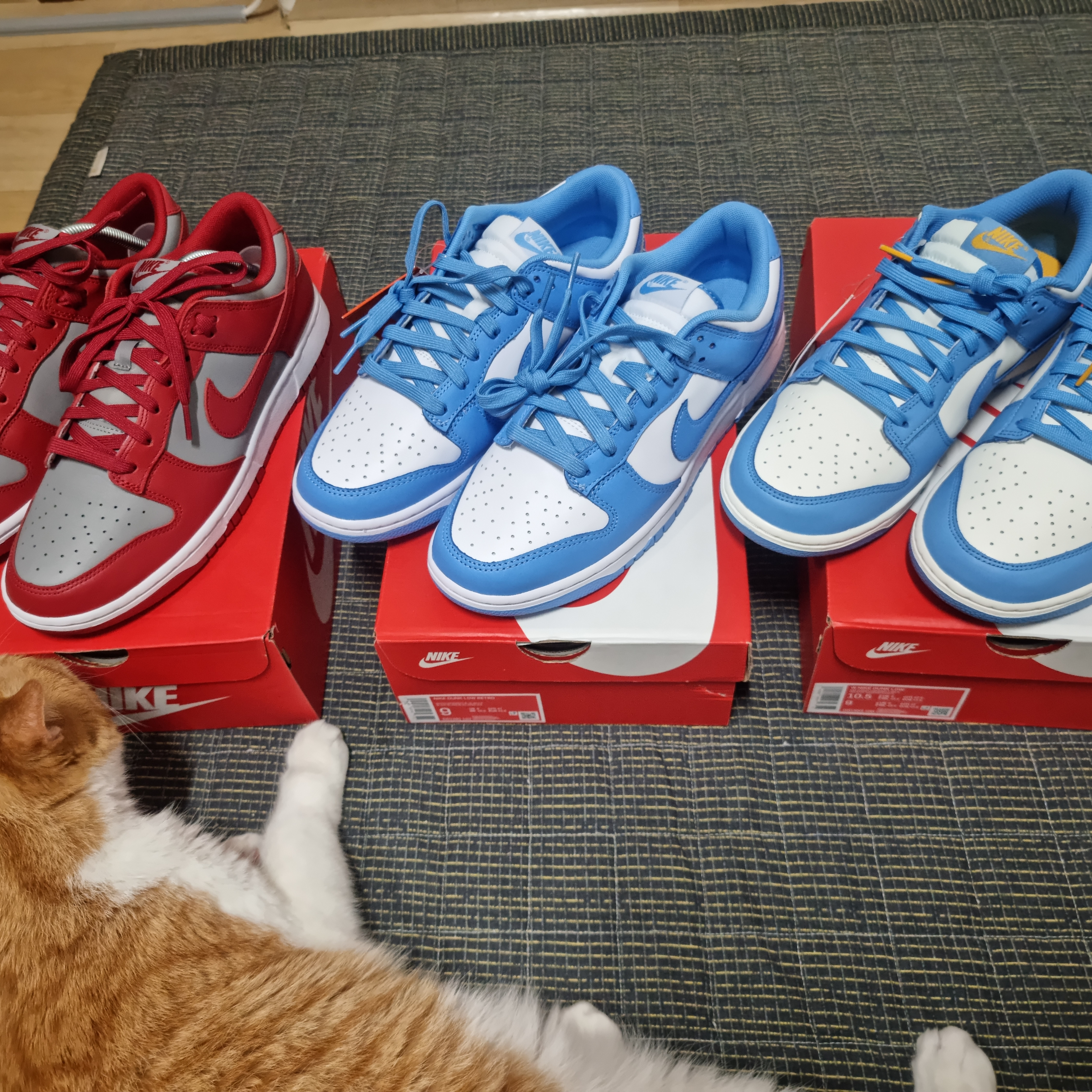 Nike Dunk Low Retro University Blue, (W) Nike Dunk Low Coast 착용 스타일
