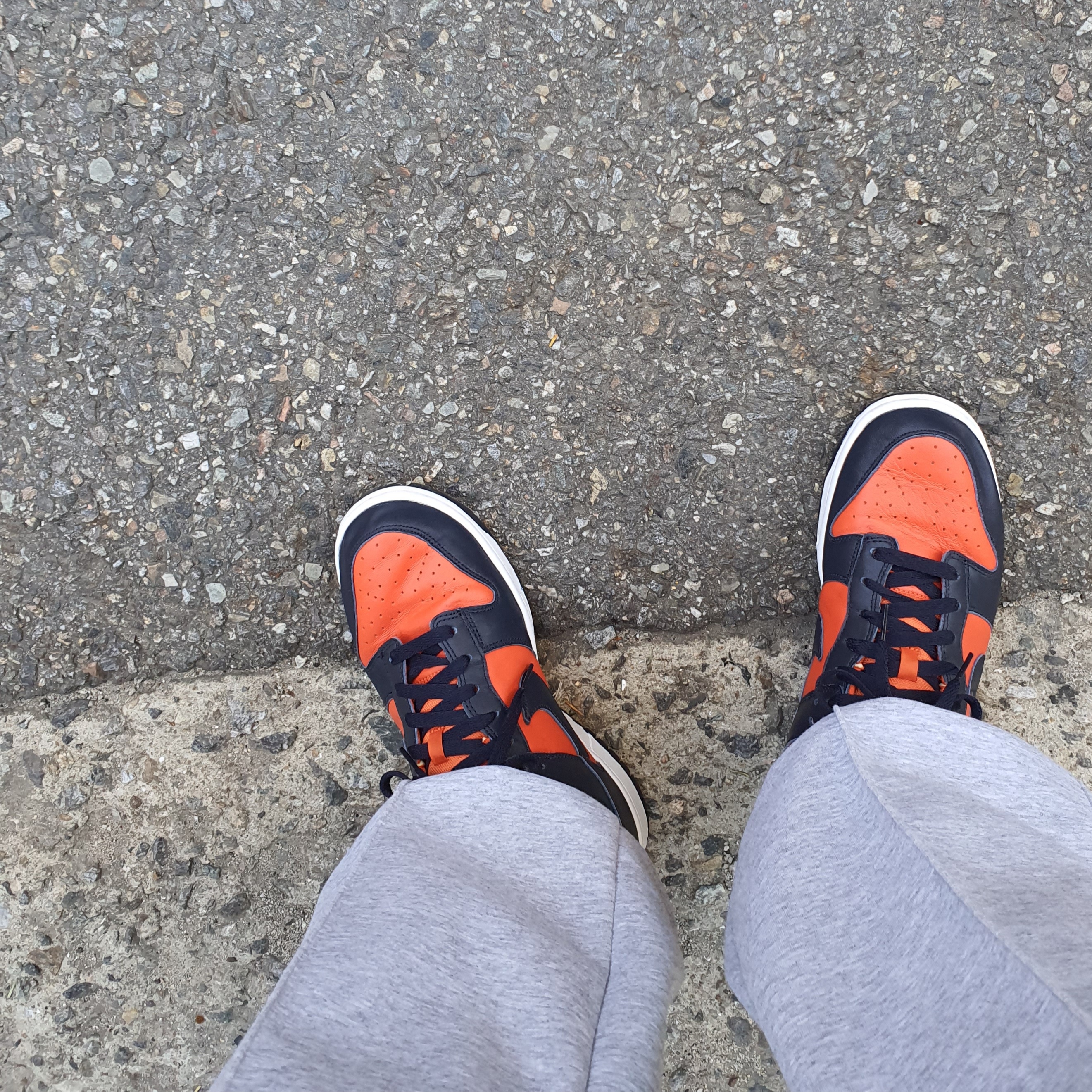 Nike Dunk Low SP Champ Colors 착용 스타일 - 2
